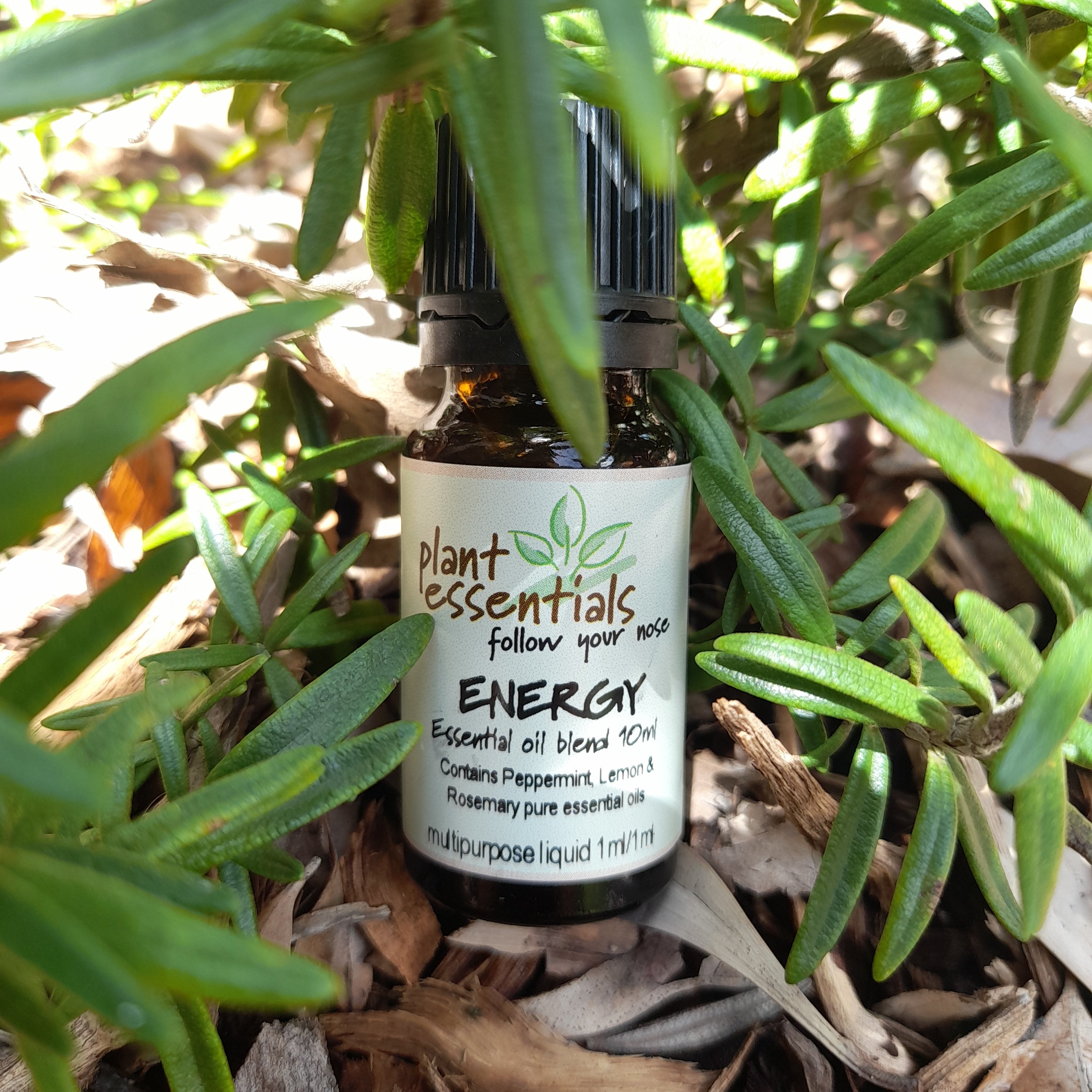 Energy Essential Oil Blend