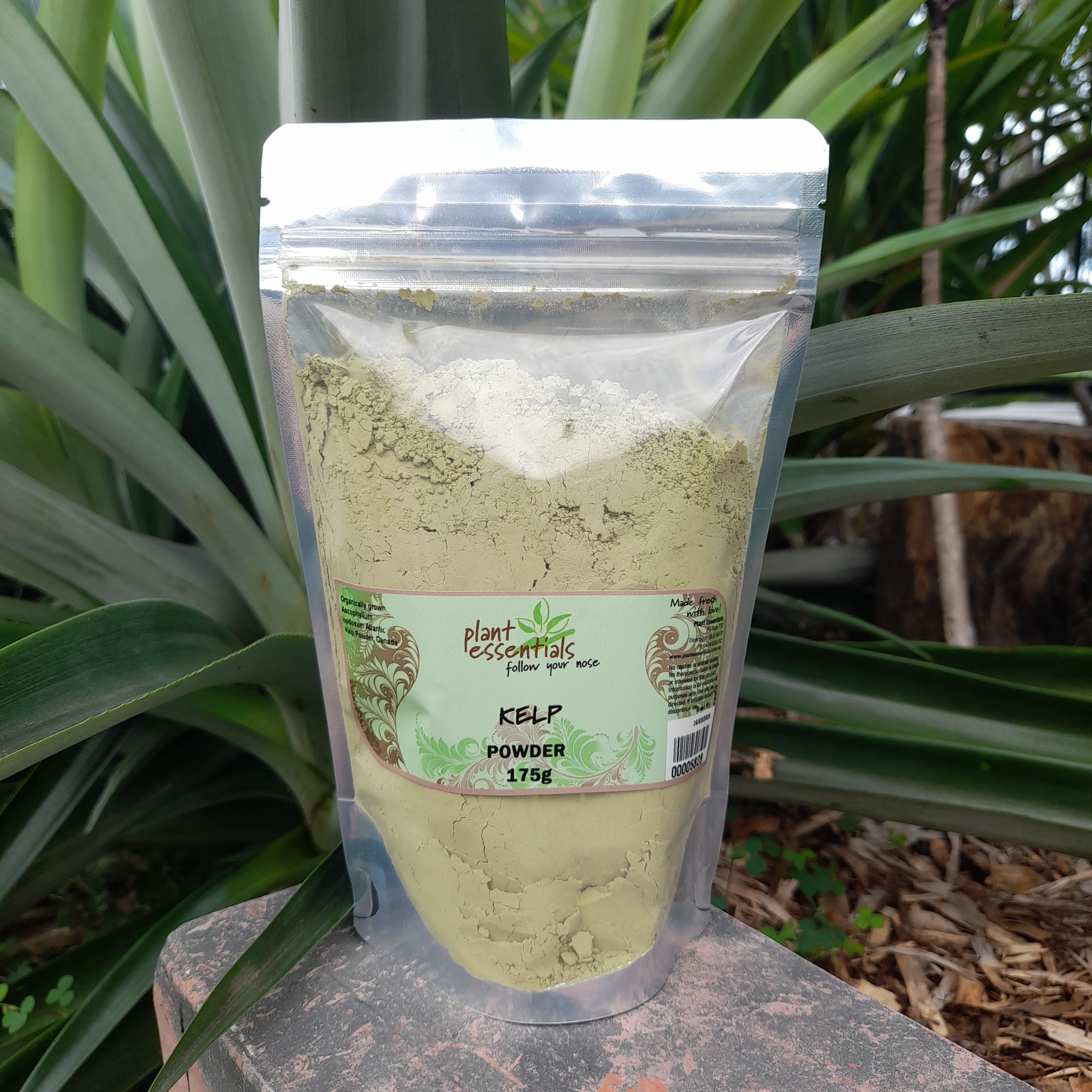 Kelp Powder 100g