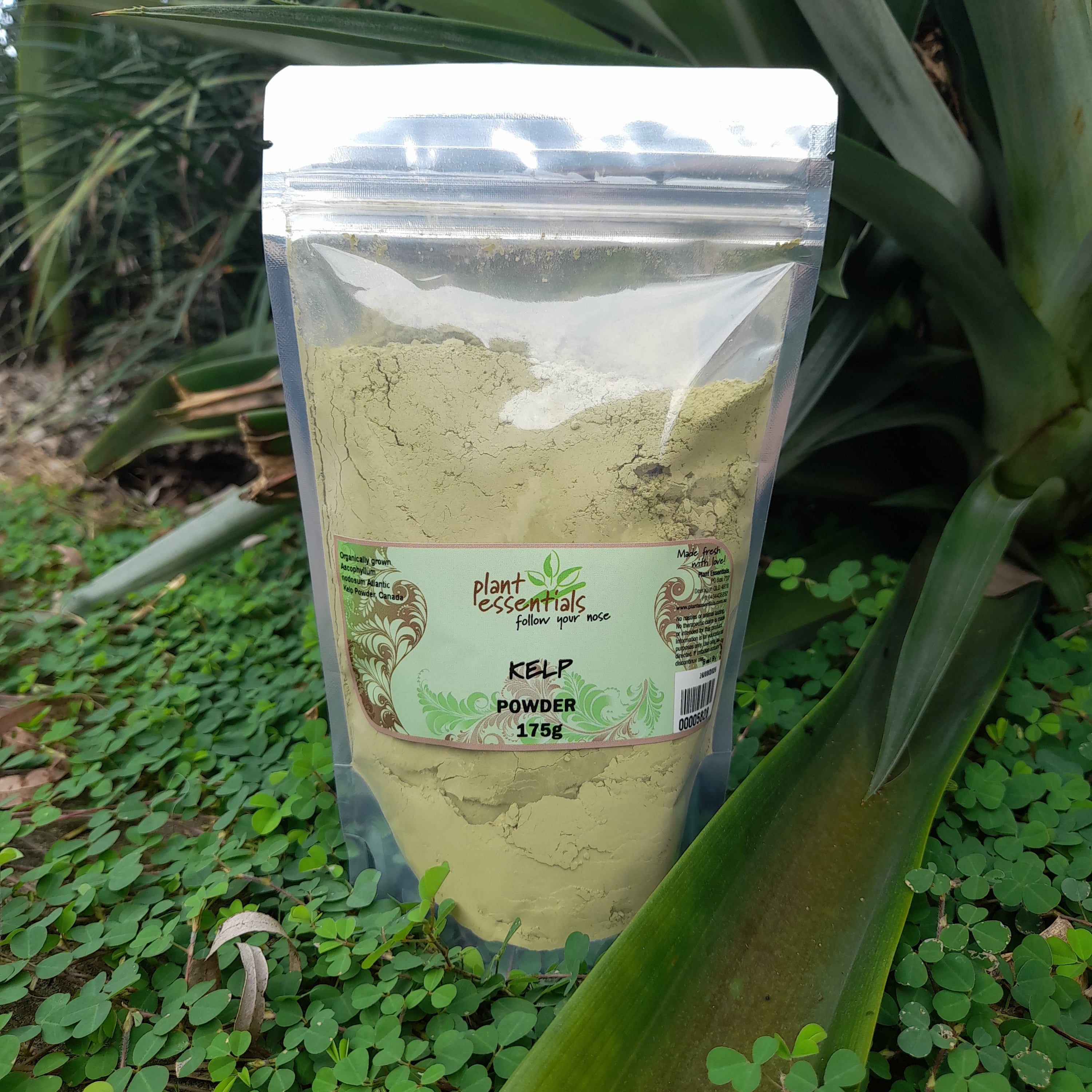 Kelp Powder 100g