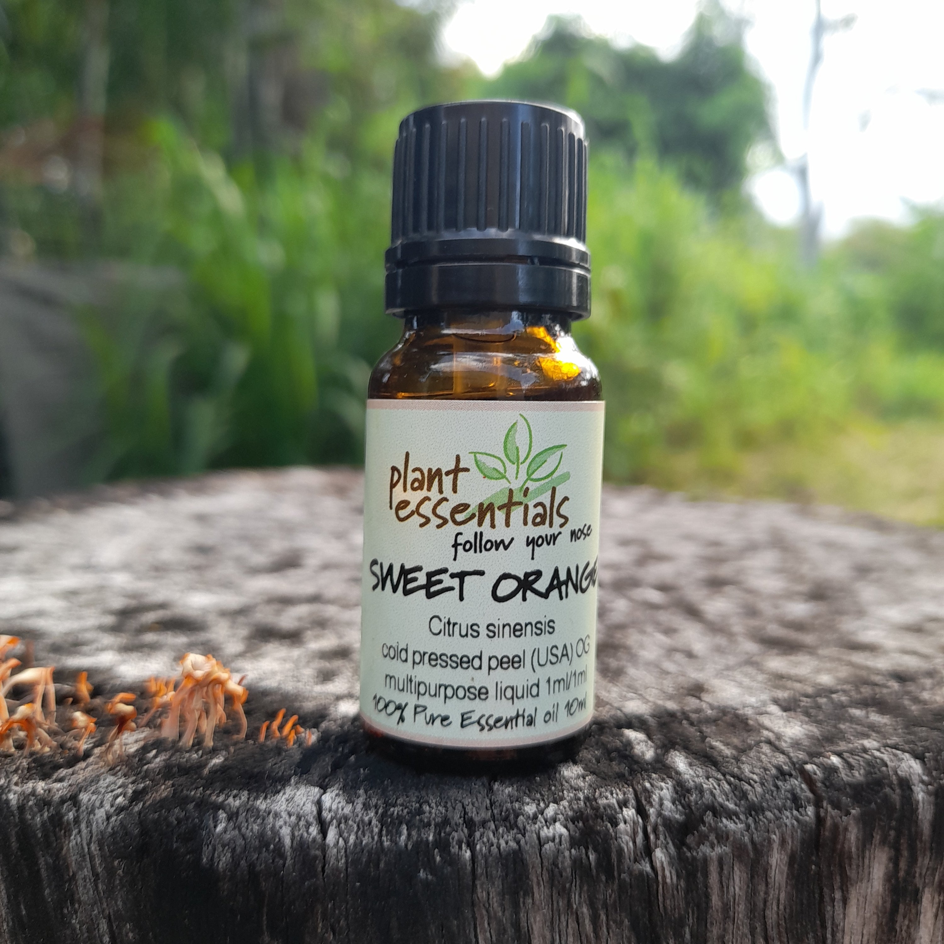 Orange, Sweet Essential Oil