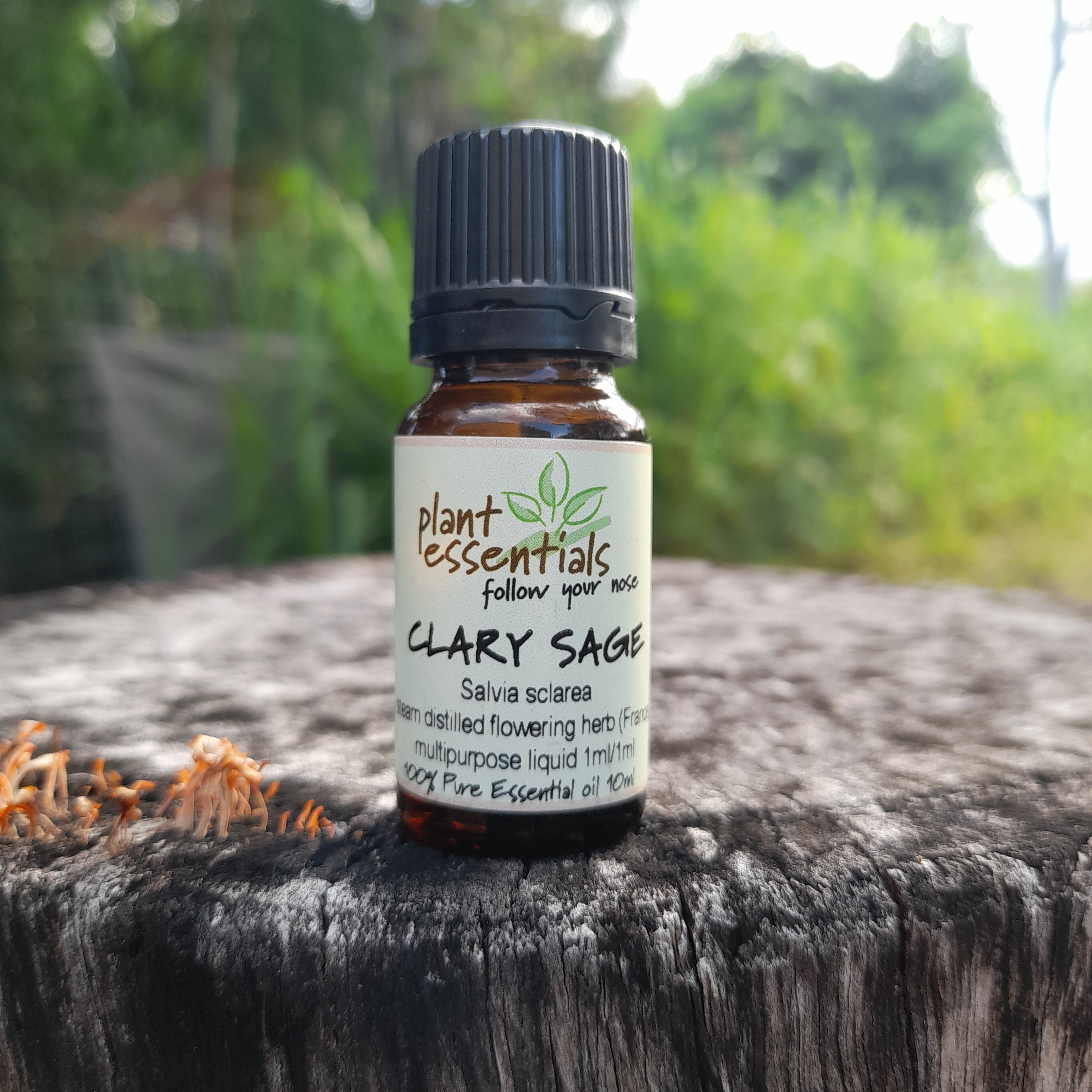 Clary Sage Essential Oil 10ml