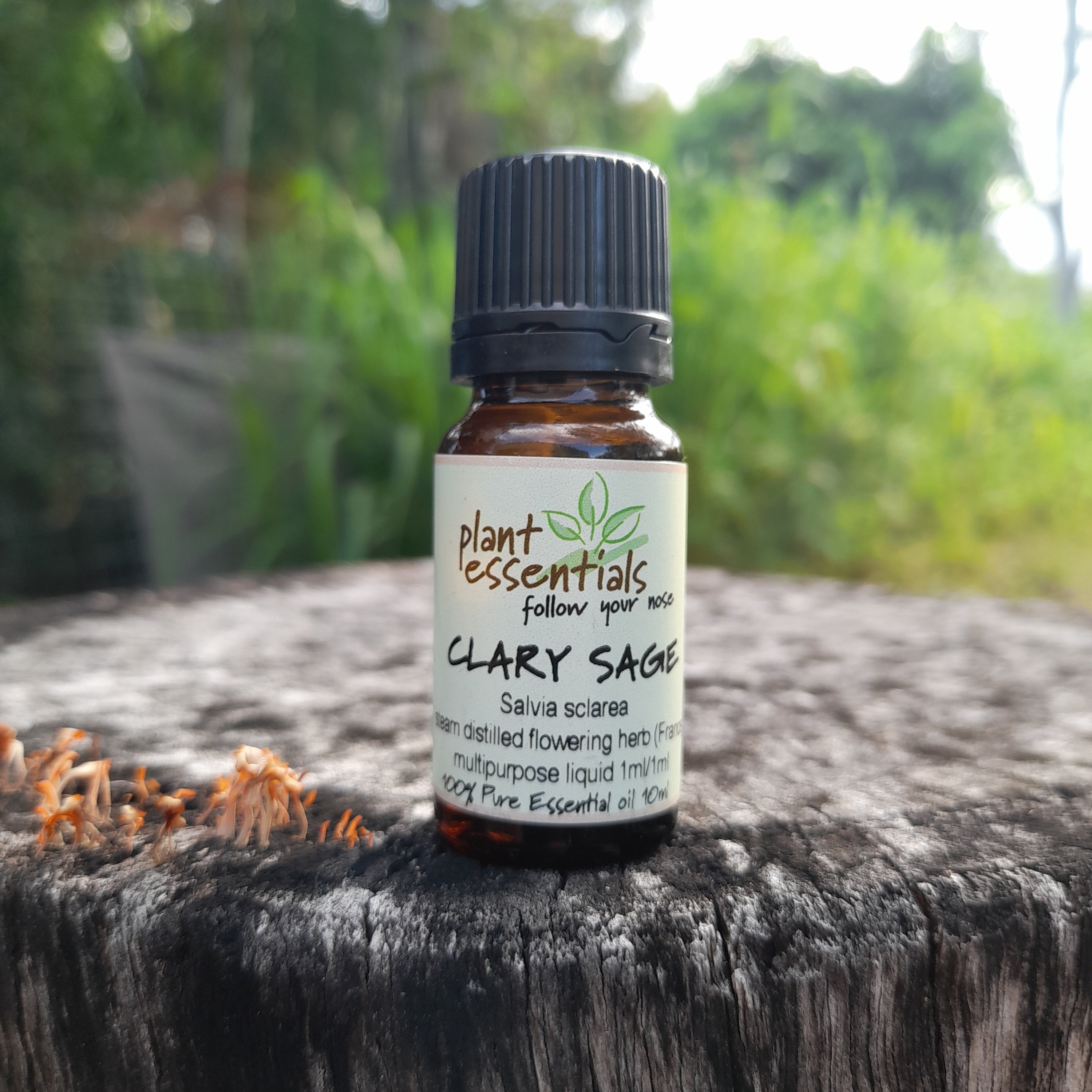 Clary Sage Essential Oil 10ml