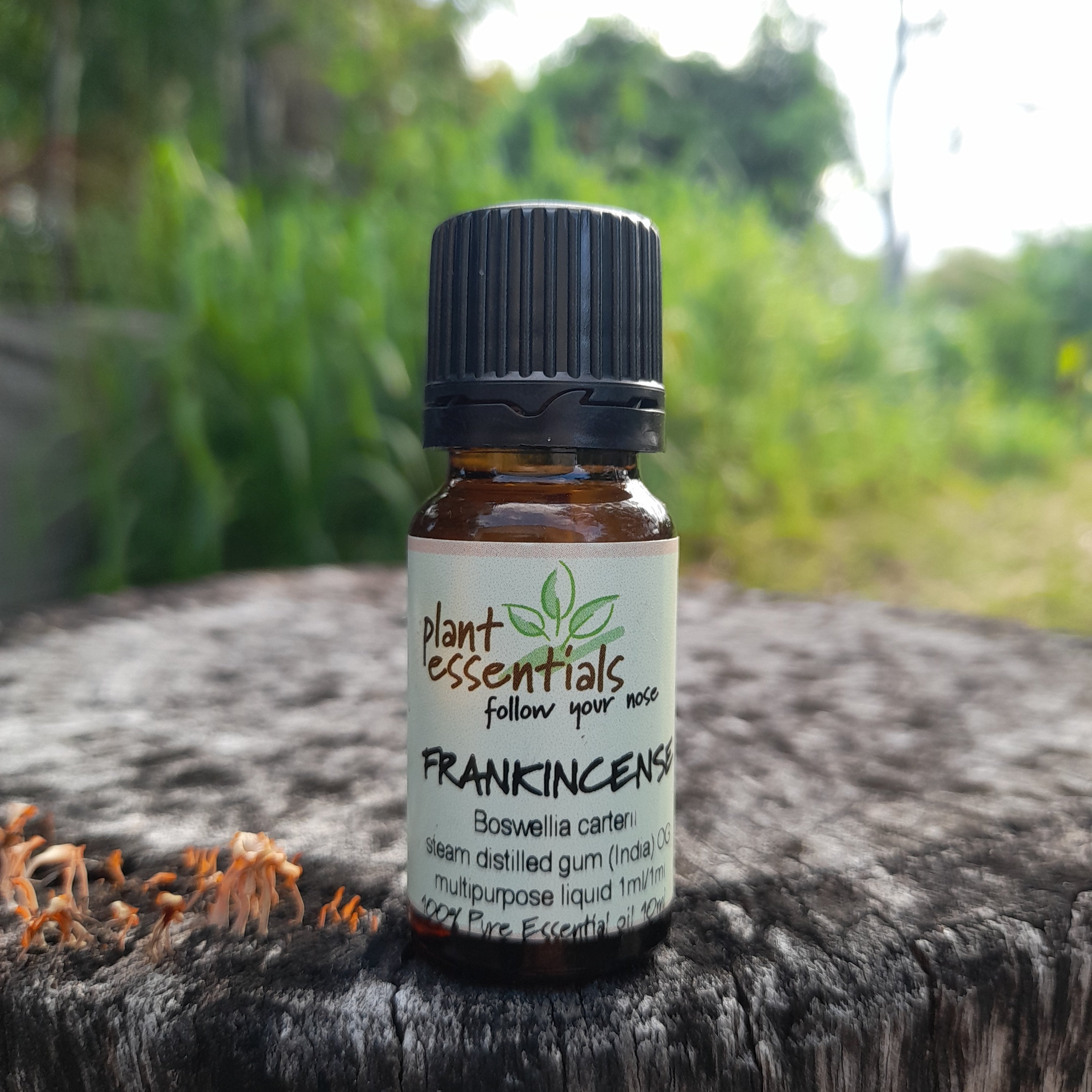 Frankincense Essential Oil