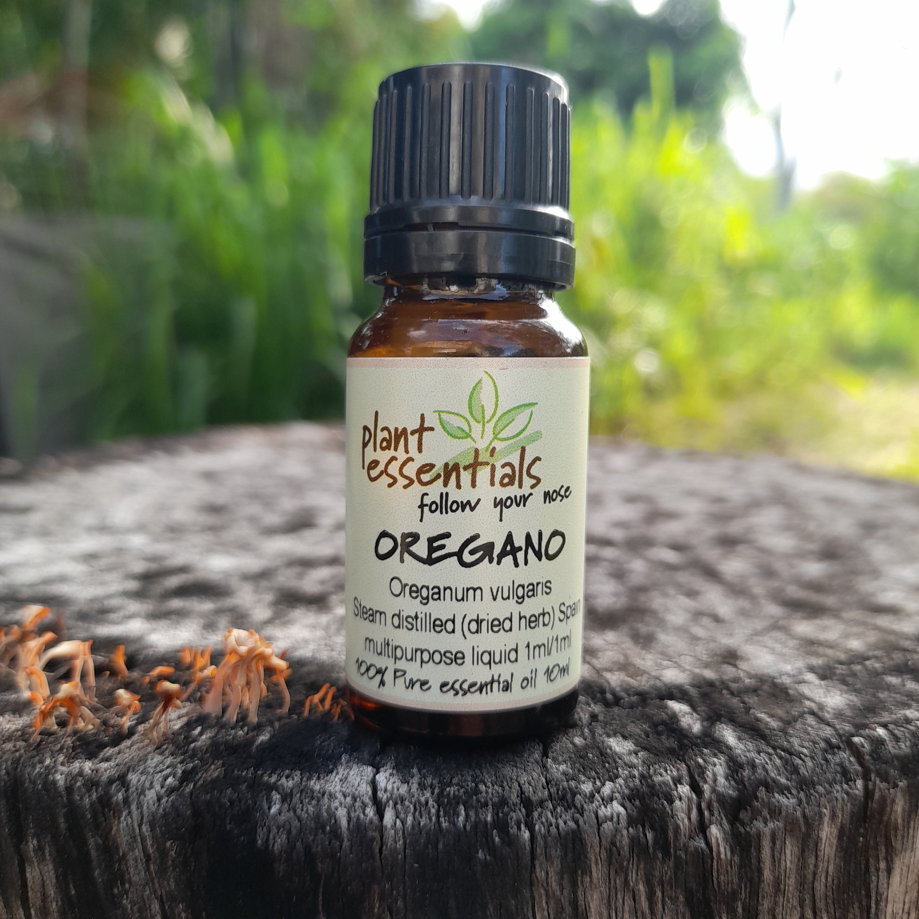 Oregano Essential Oil