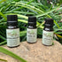 Precious Essential Oil Set (4%)