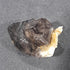 Mooralla Smokey Quartz Double Terminated - Australian