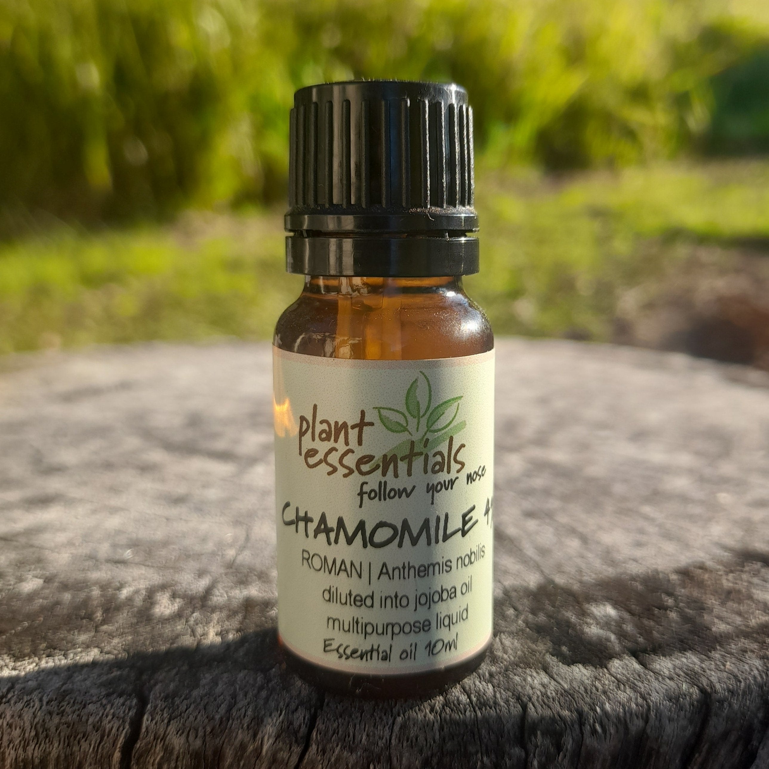 Chamomile, Roman Essential Oil