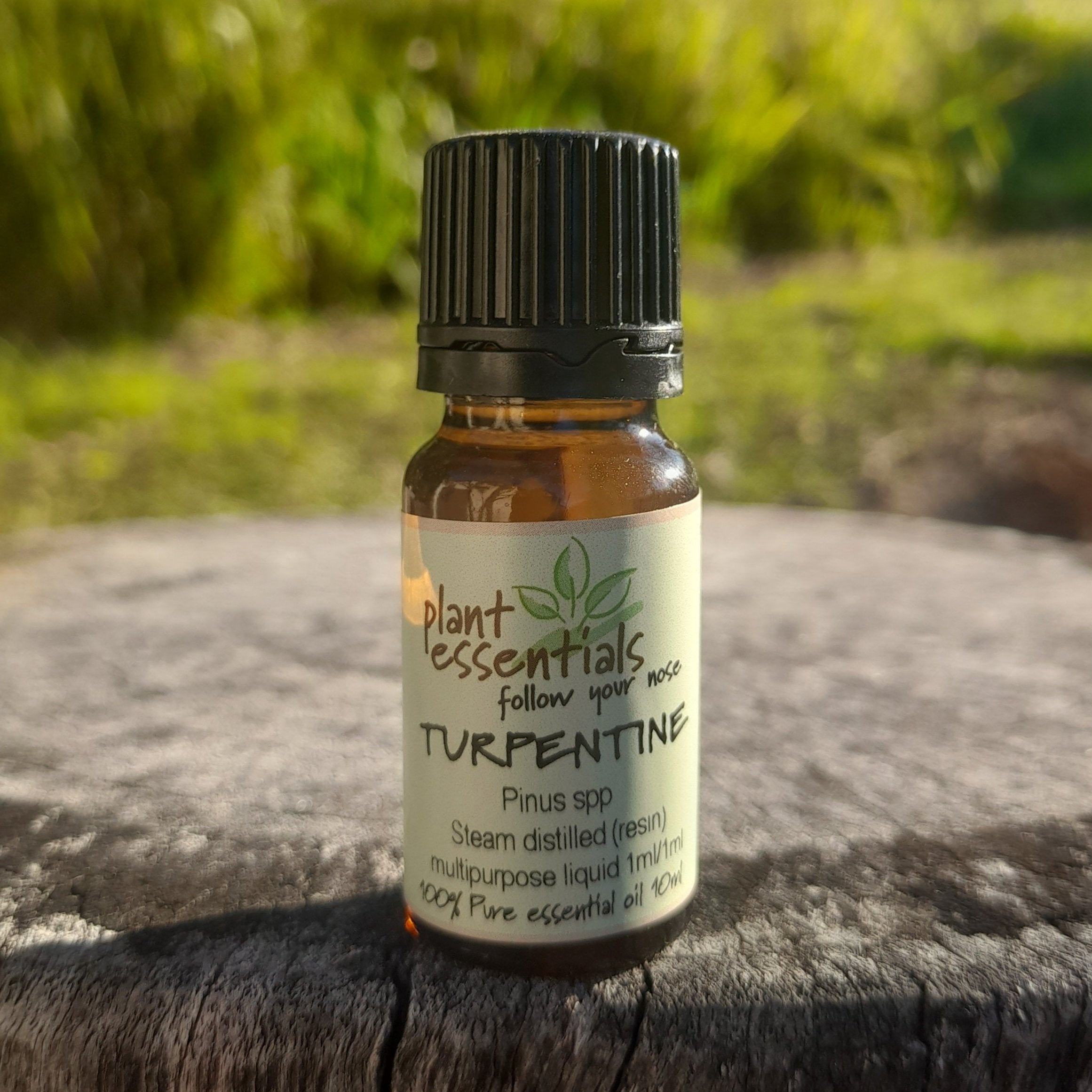 Turpentine Essential Oil