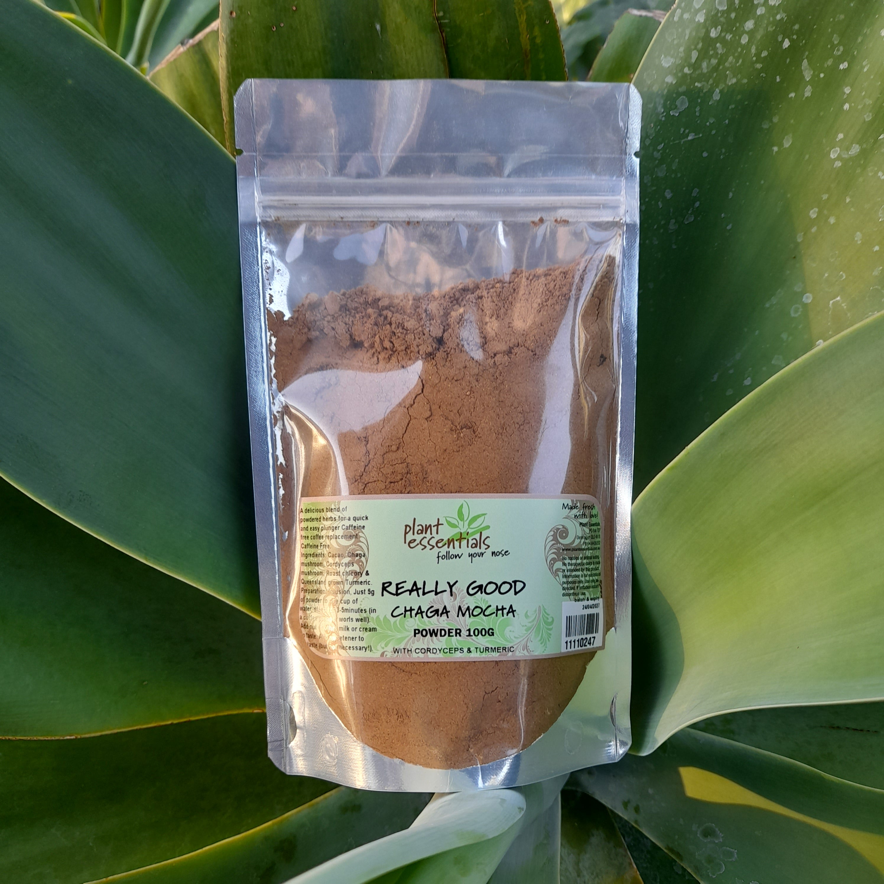 Really Good Chaga Mocha powder 60g