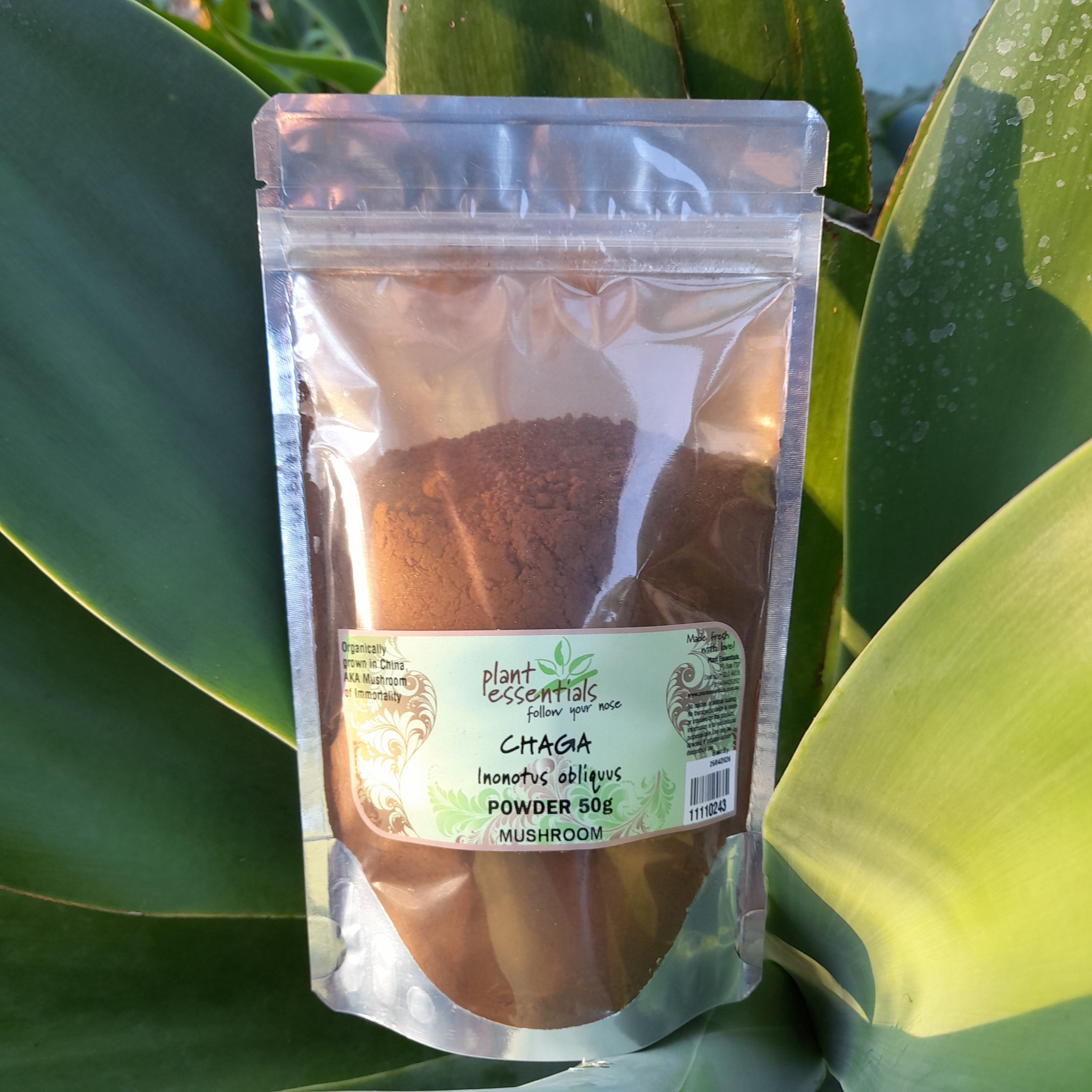 Chaga Mushroom Powder 50g
