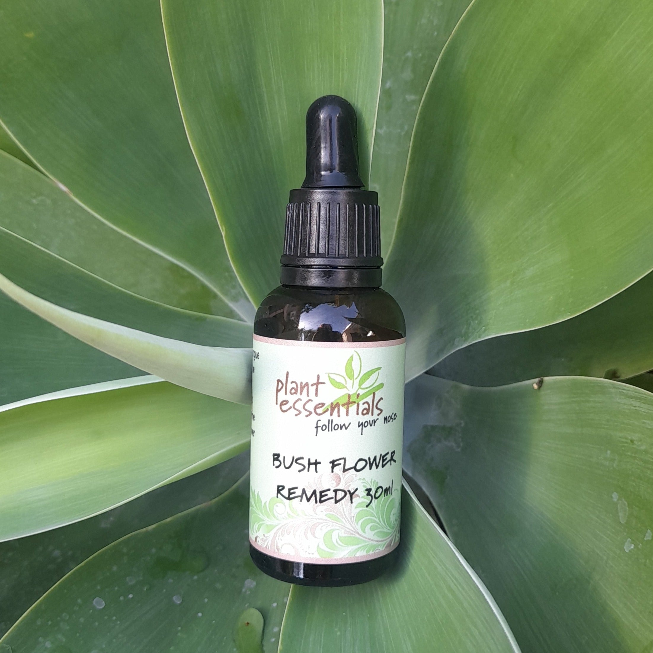 Rescue Me Bush Flower Essence drops 30ml