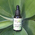 Rescue Me Bush Flower Essence drops 30ml