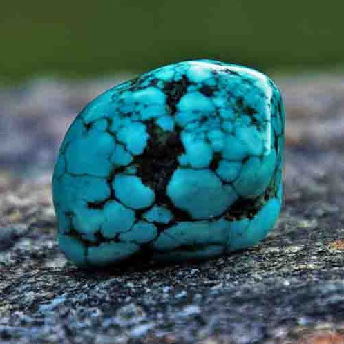 Turquoise Bio Res Energy drops 30ml