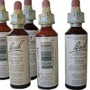 Cherry Plum Bach Flower Essence Drops - 30ml