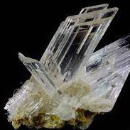 Selenite Bio Res Energy drops 30ml