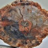 Petrified wood Bio Res Energy drops 30ml