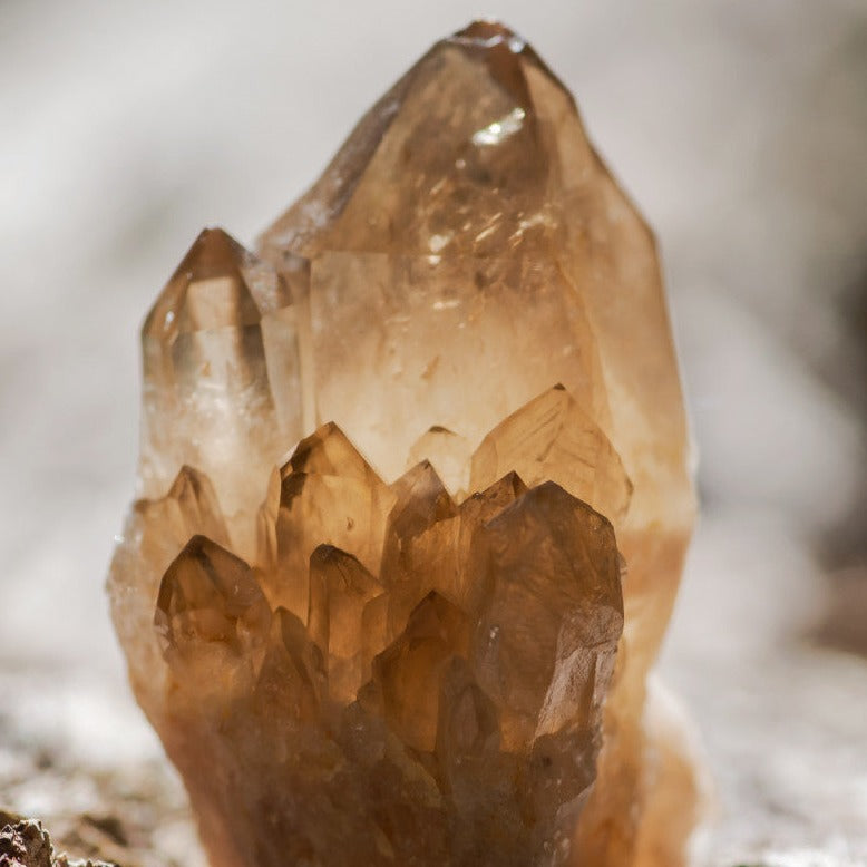 Smokey Quartz Bio Res Energy drops 30ml