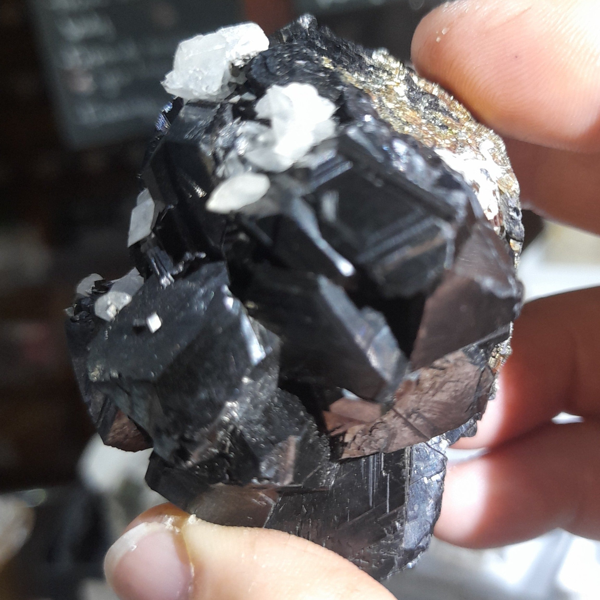 Twinned black sphalerite with pyrite