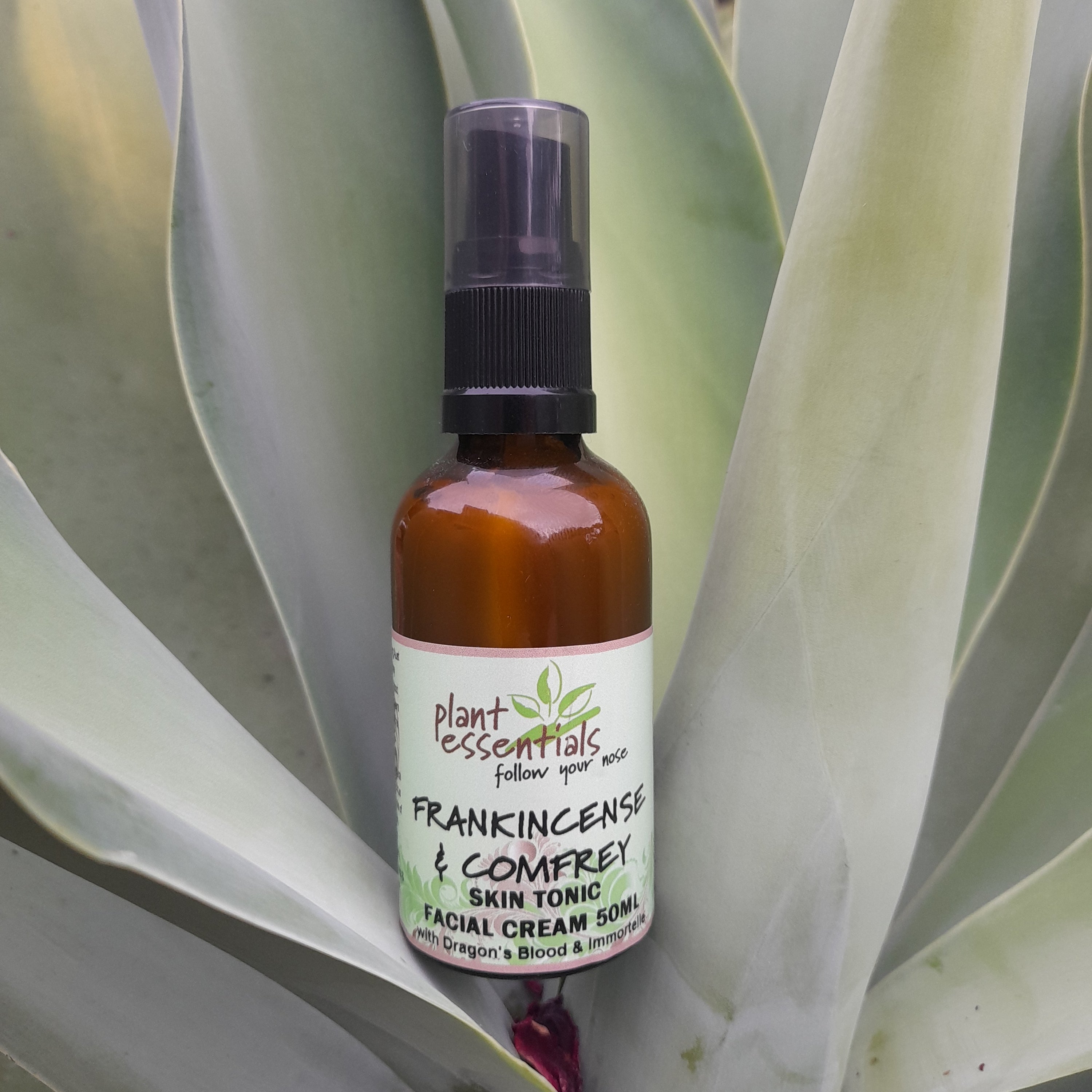 Frankincense & Comfrey Skin Tonic Facial Cream 50ml