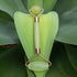 Jade Facial Roller
