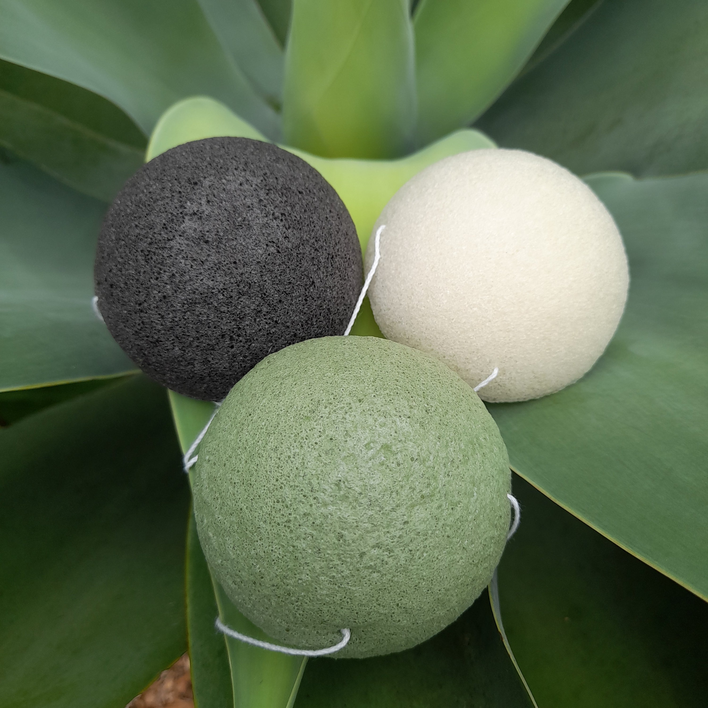 Face Sponge, natural konjac Green