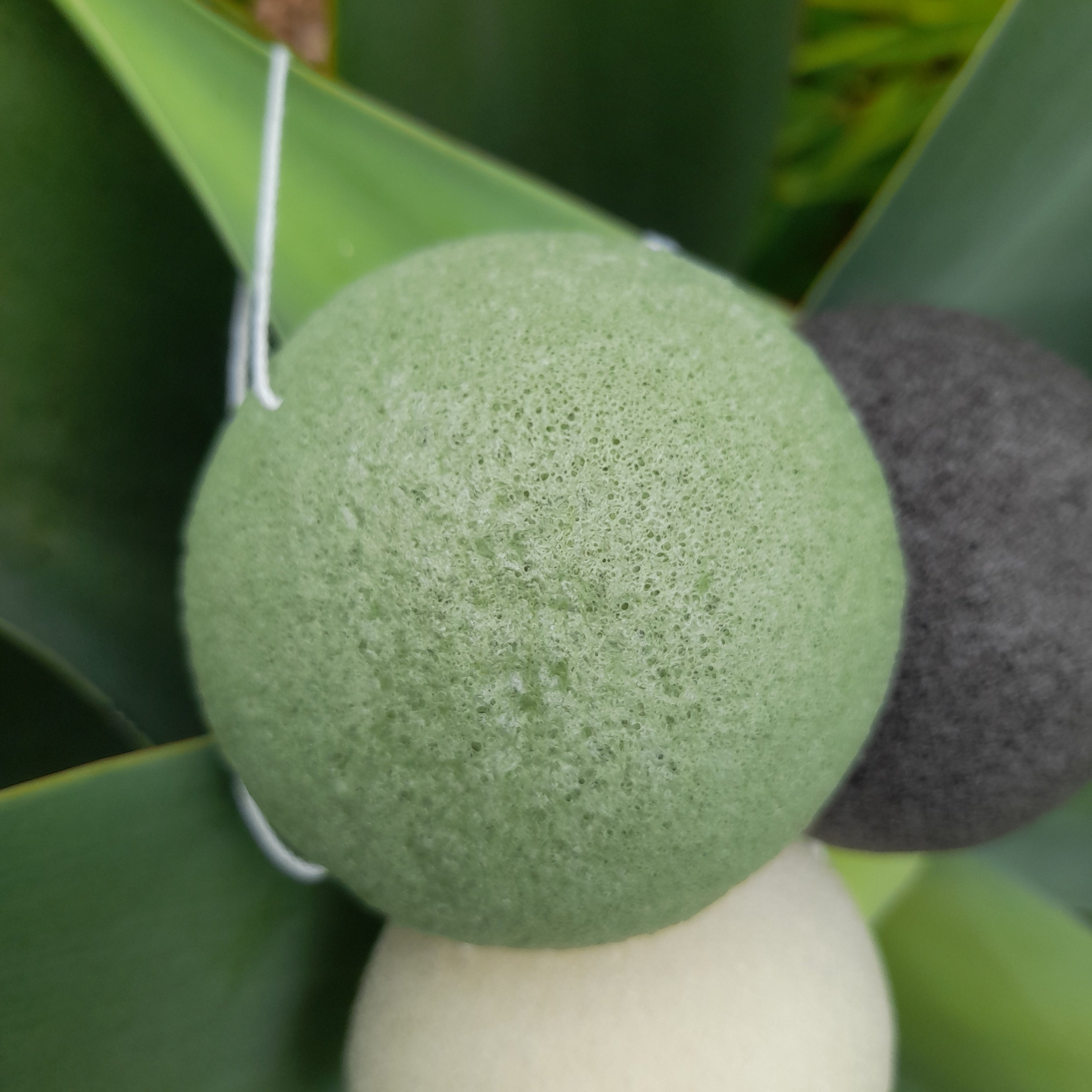 Face Sponge, natural konjac Green