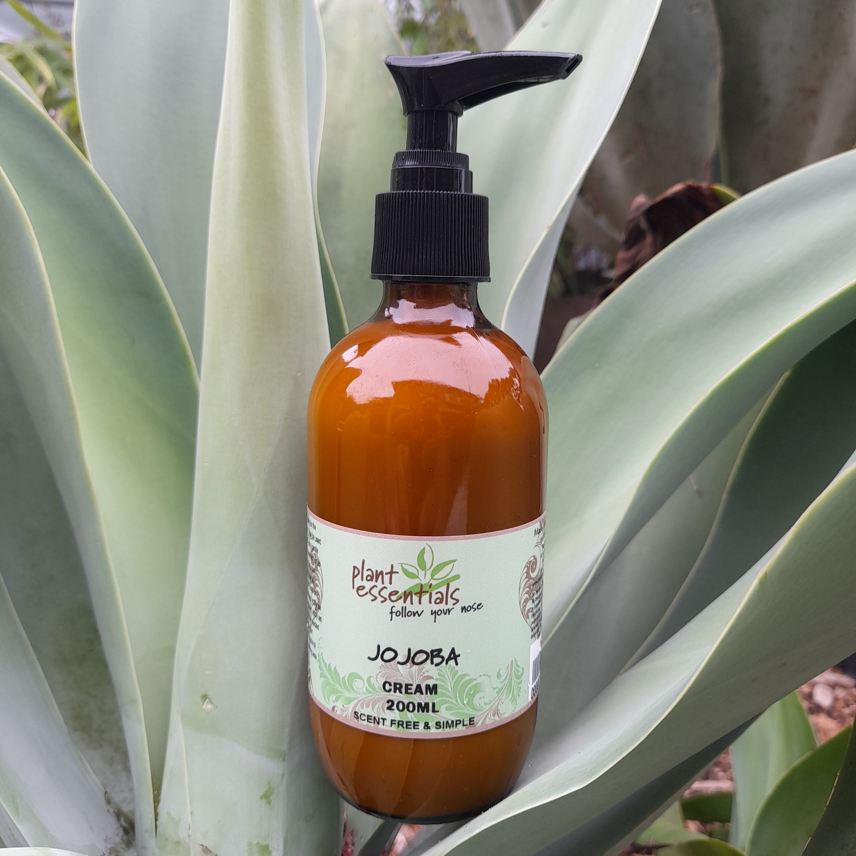 Jojoba Cream