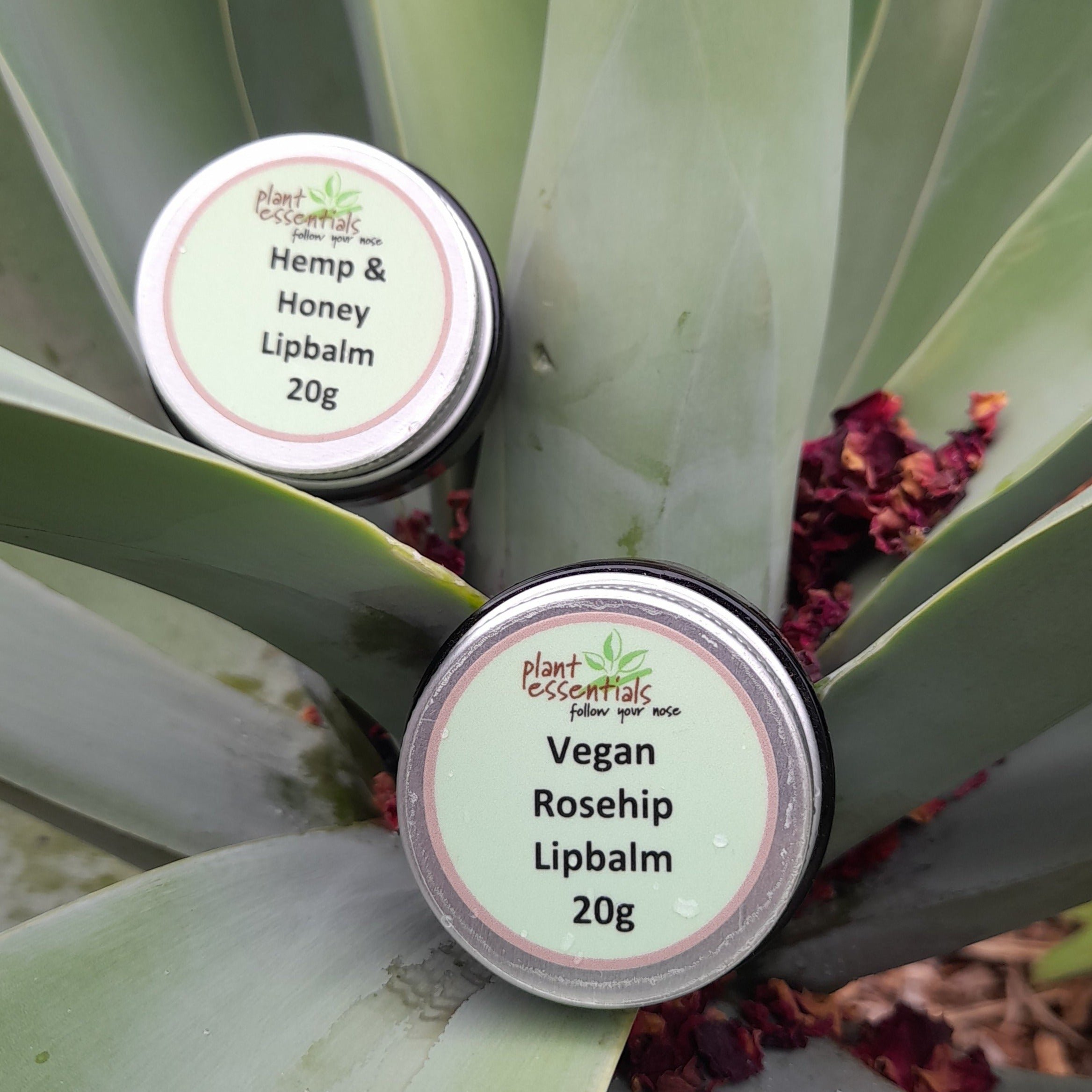 Vegan Rosehip Lip balm 20g