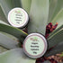 Vegan Rosehip Lip balm 20g