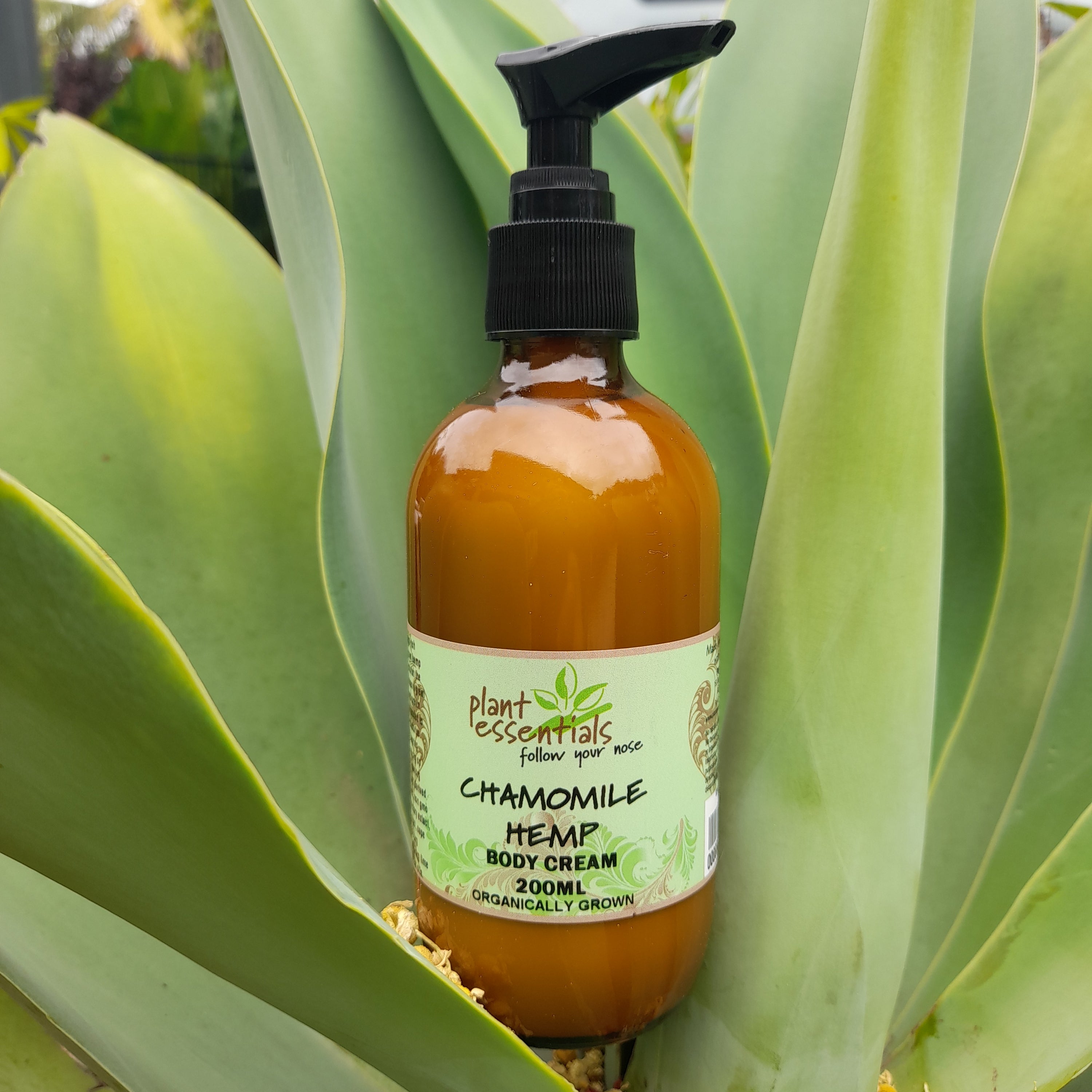 Chamomile Hemp Cream