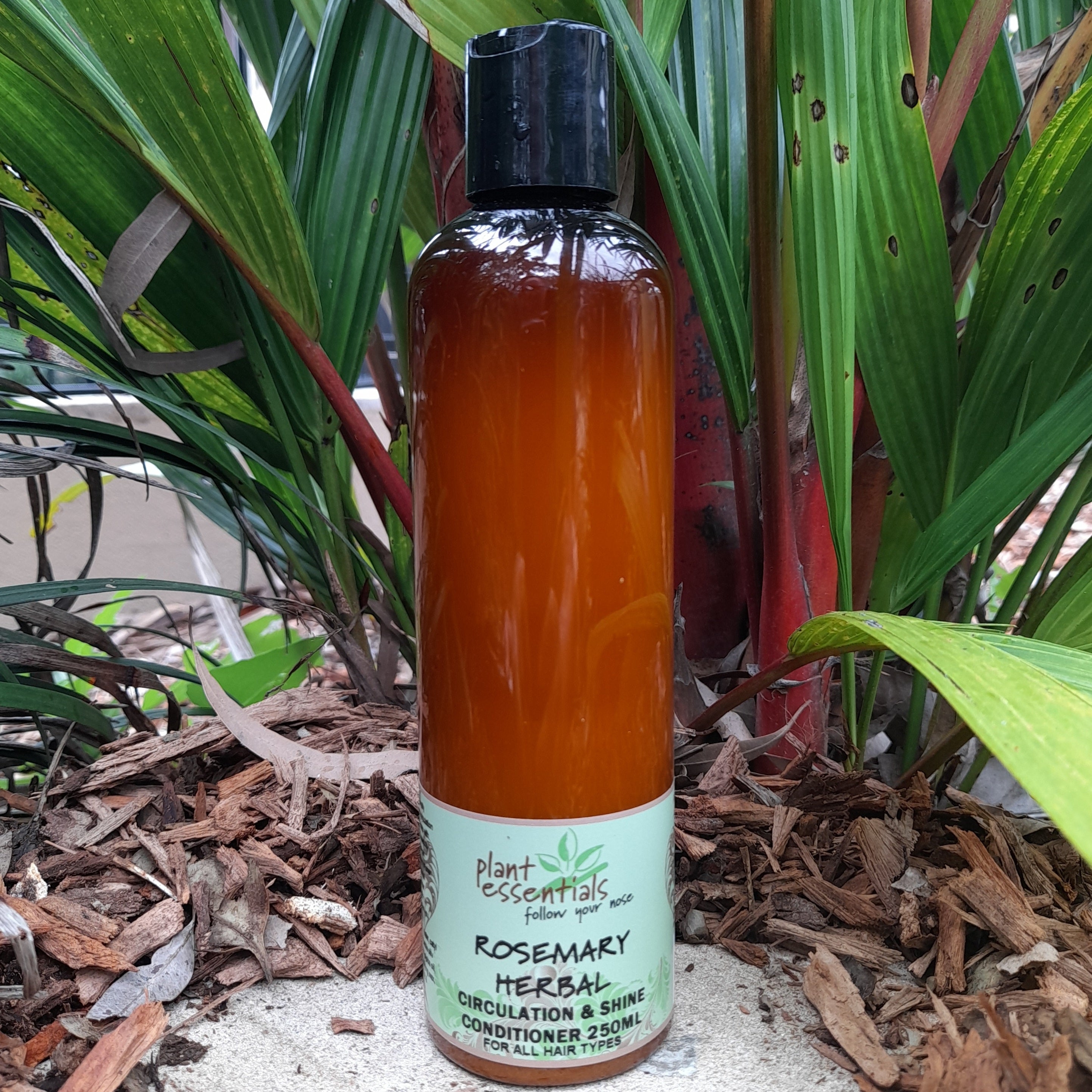 Rosemary Herbal Everyday Conditioner 250ml