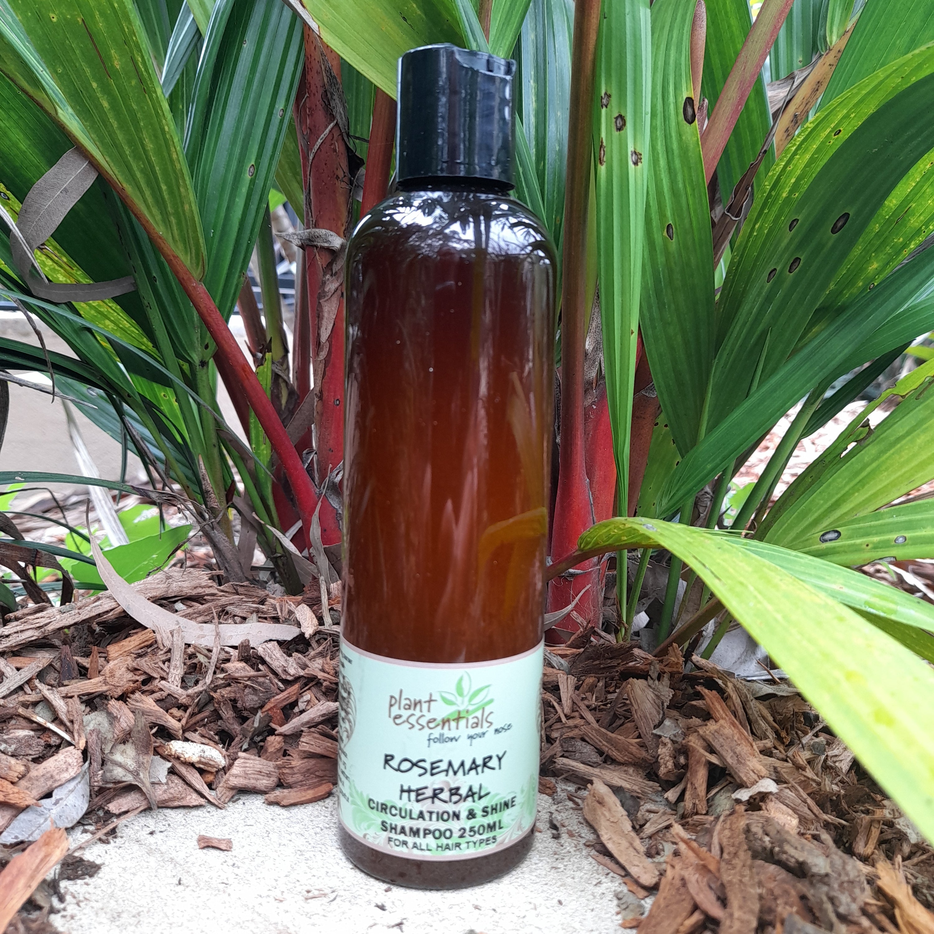 Rosemary Herbal Everyday Shampoo 250ml