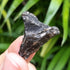 Darwin Glass ~ Tektite - Australian