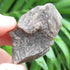 Darwin Glass ~ Tektite - Australian