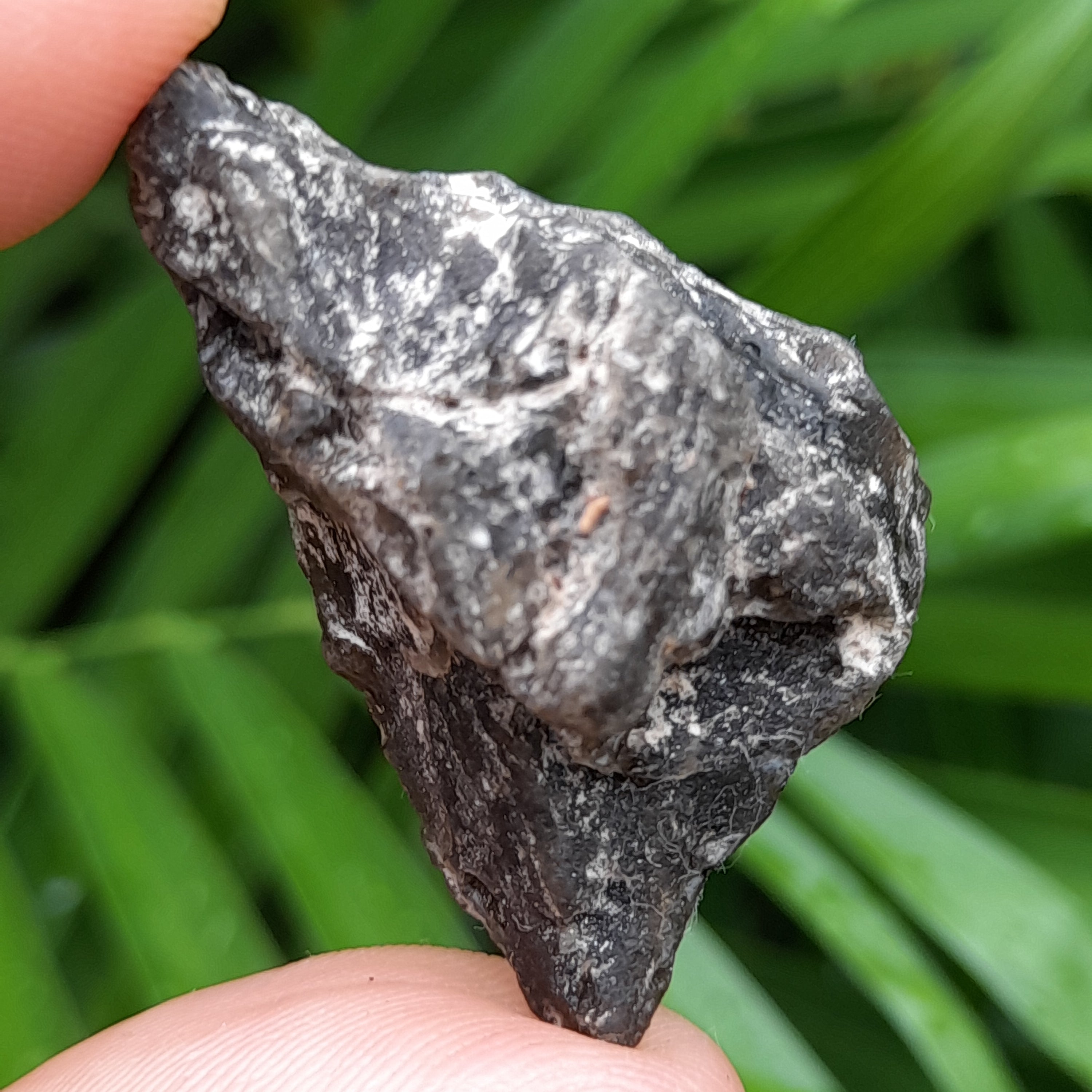 Darwin Glass ~ Tektite - Australian