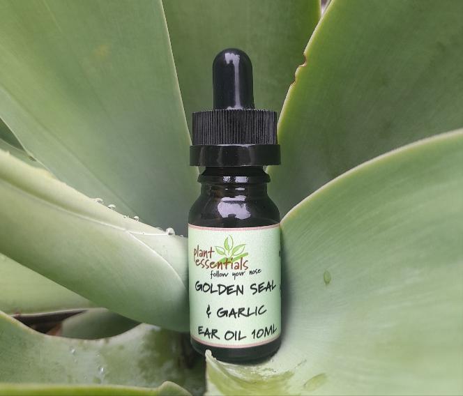 Golden Seal & Garlic Ear Oil - 10ml