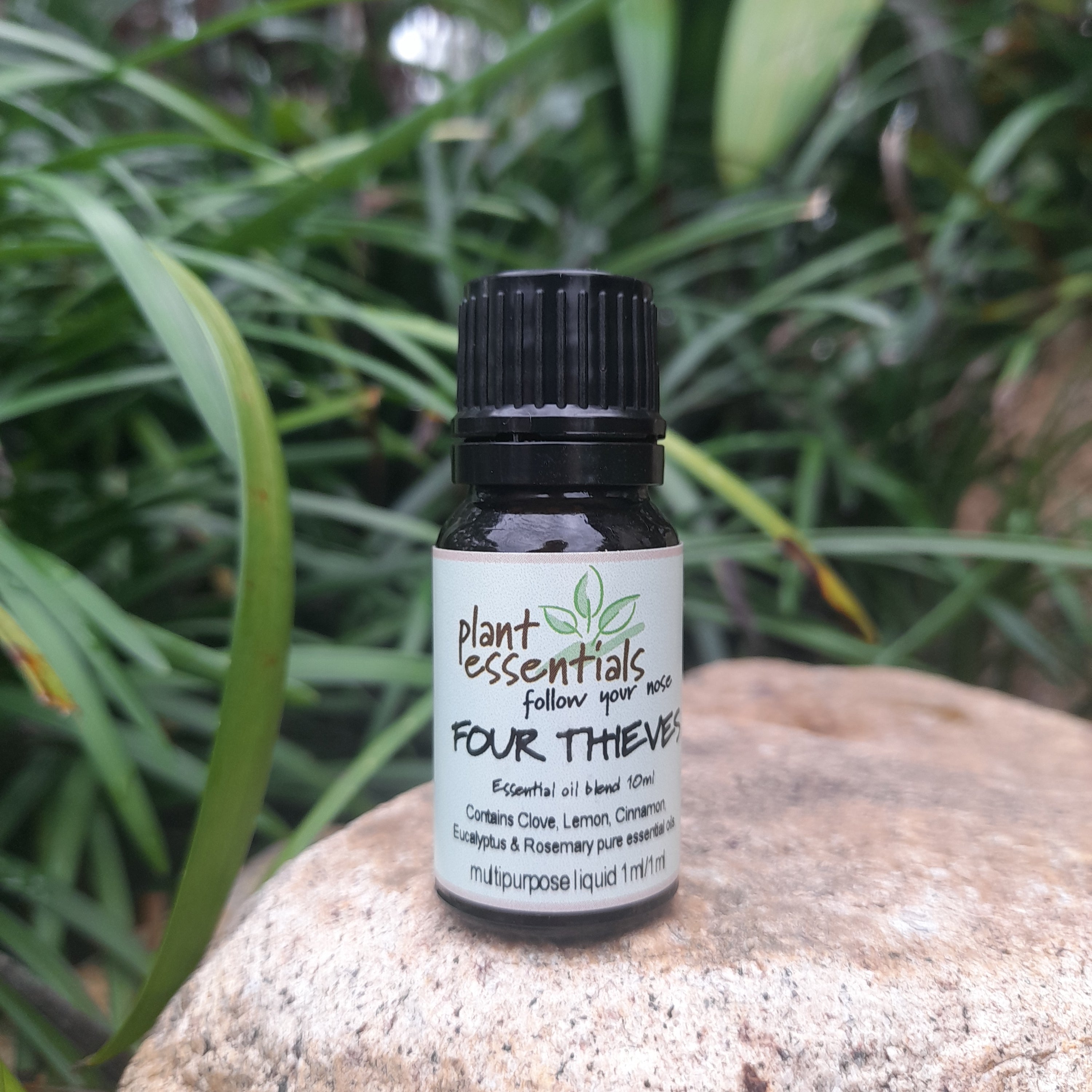 Four Thieves Essential Oil Blend