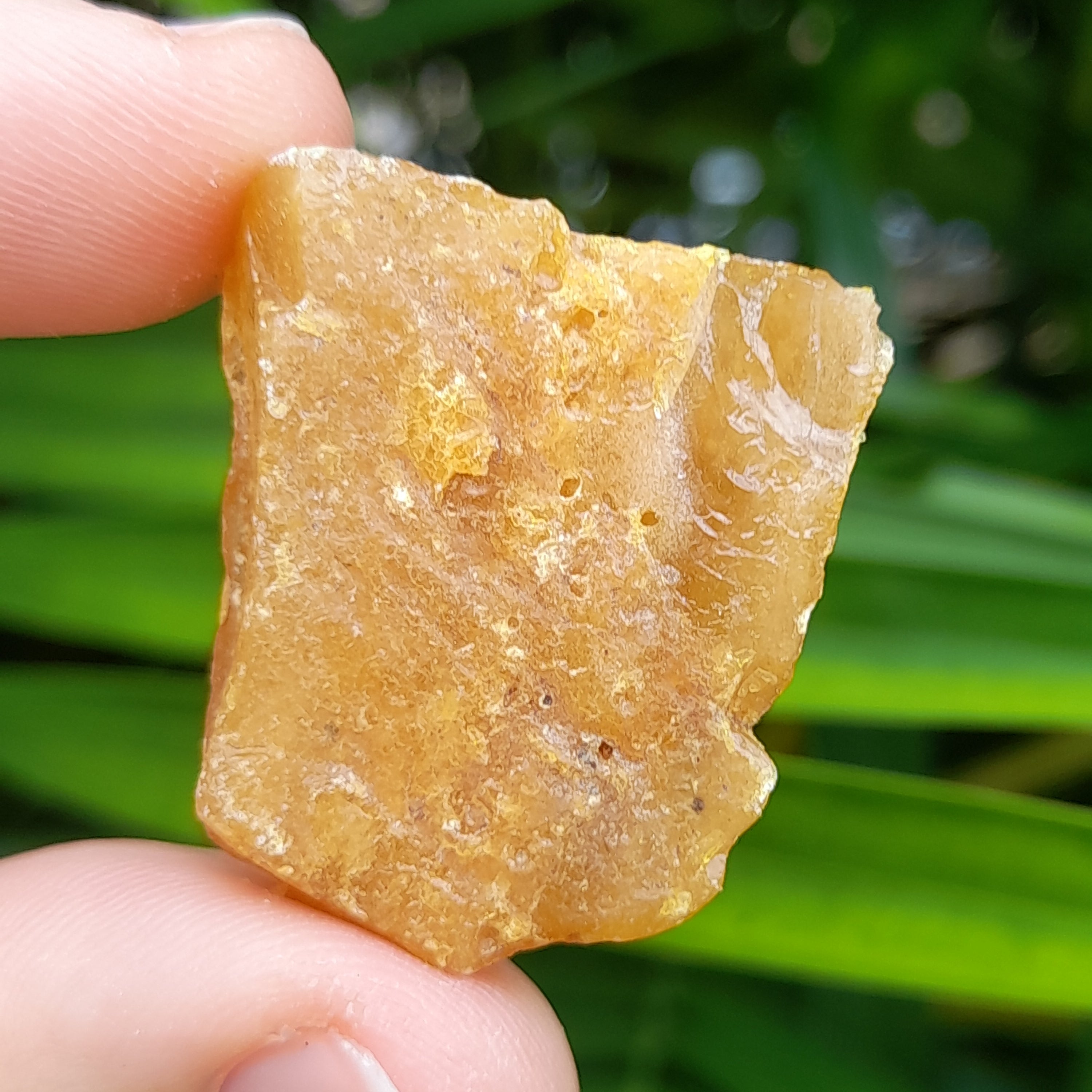 Copal, raw