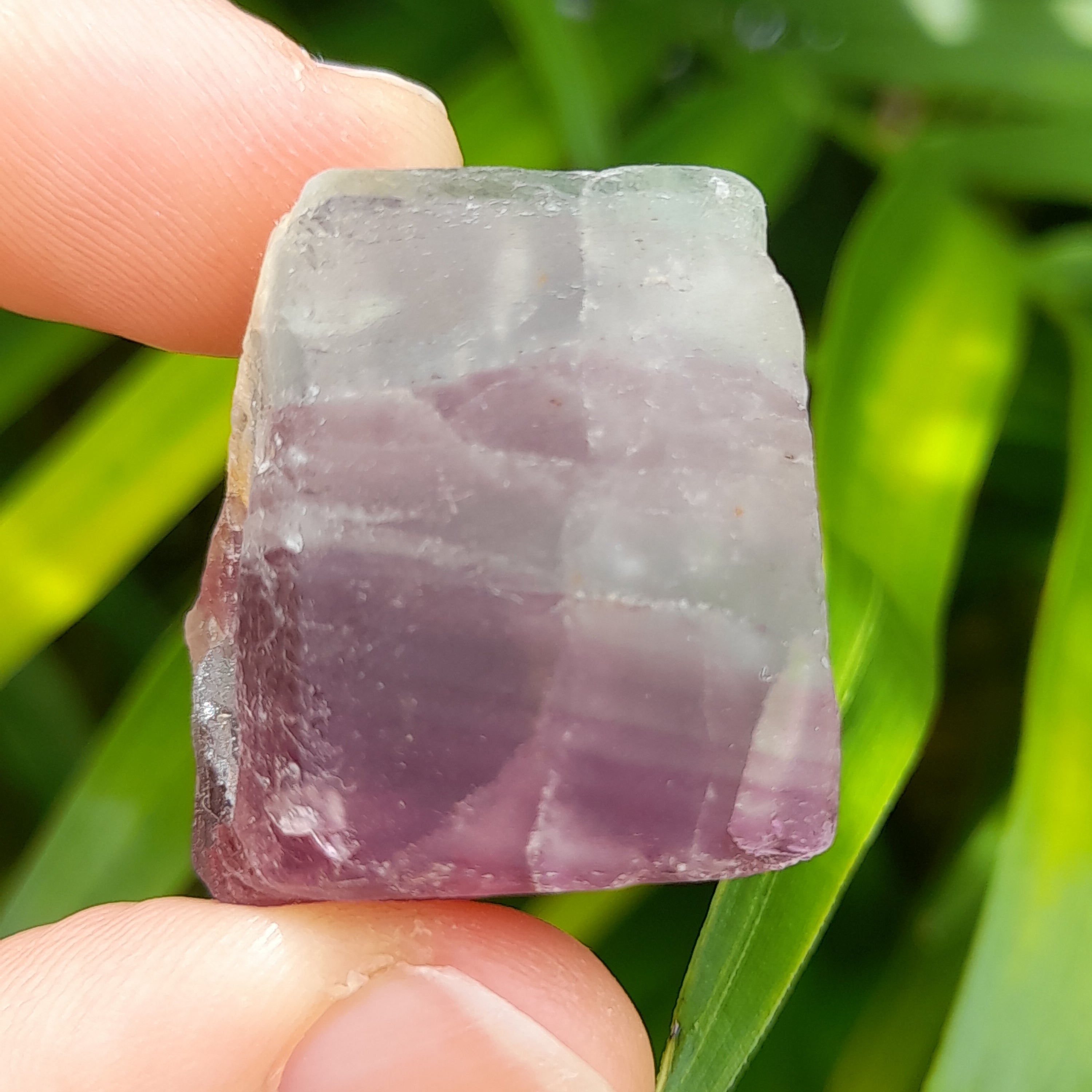 Fluorite, Rainbow  ~ Raw