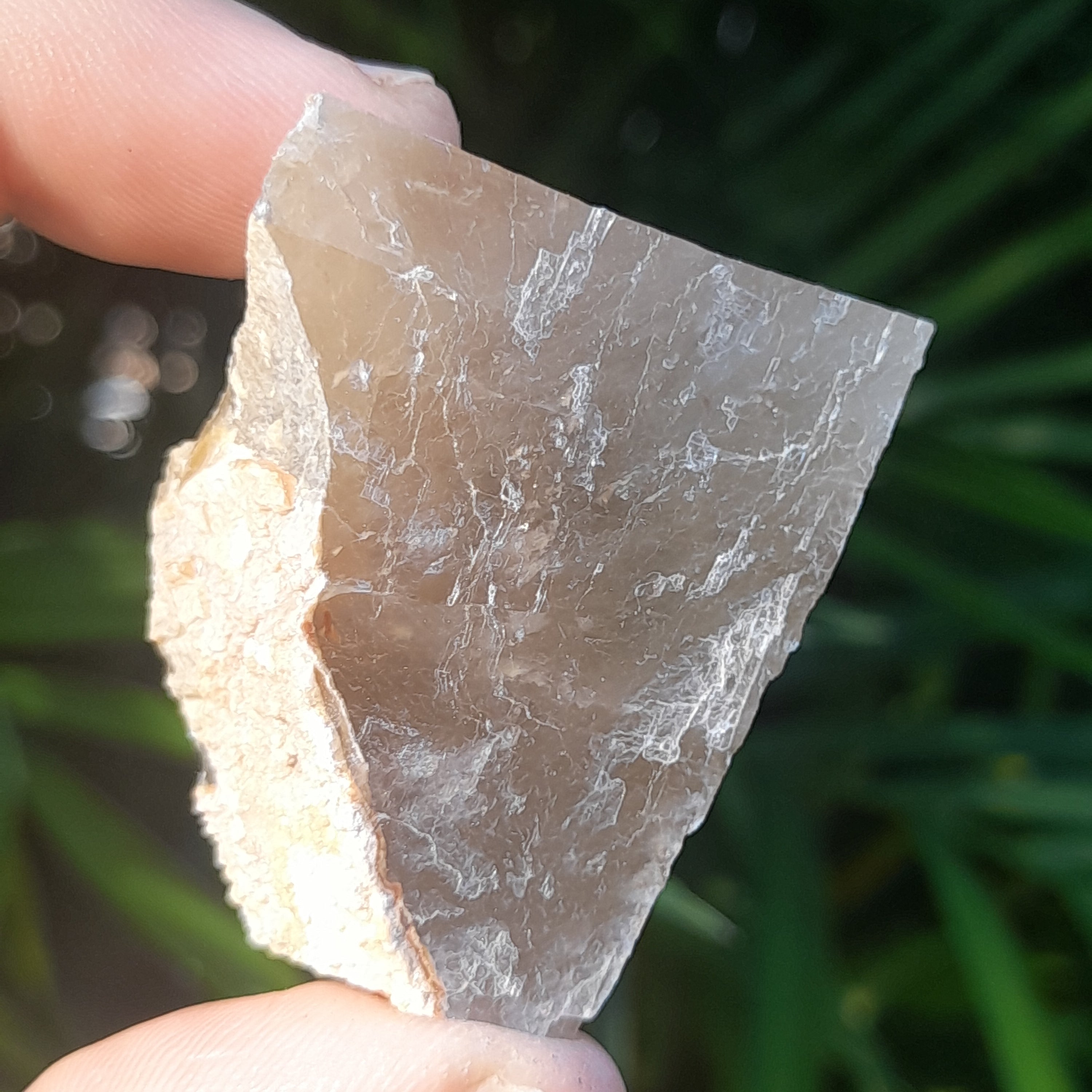 Barite, Australia