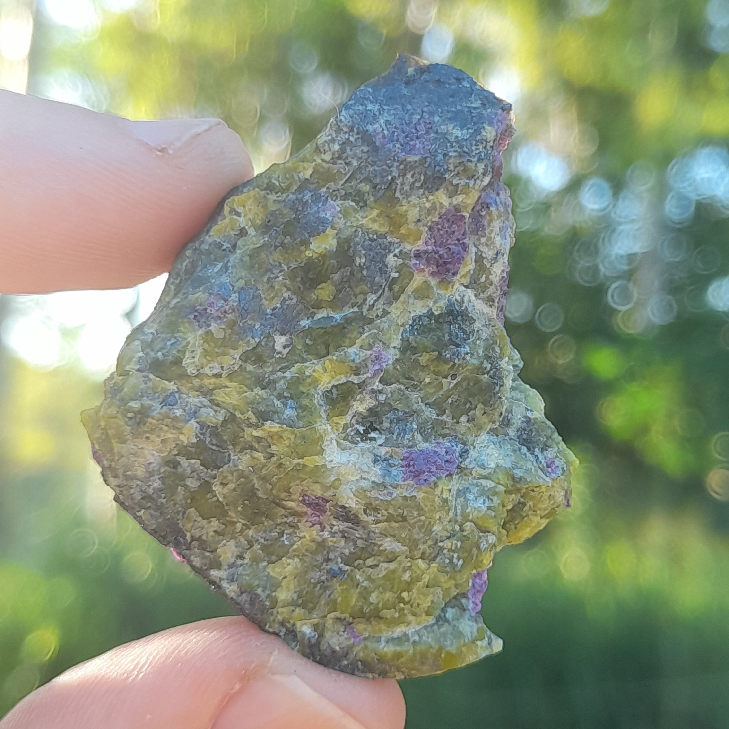Stichtite in Serpentine (Atlantasite)
