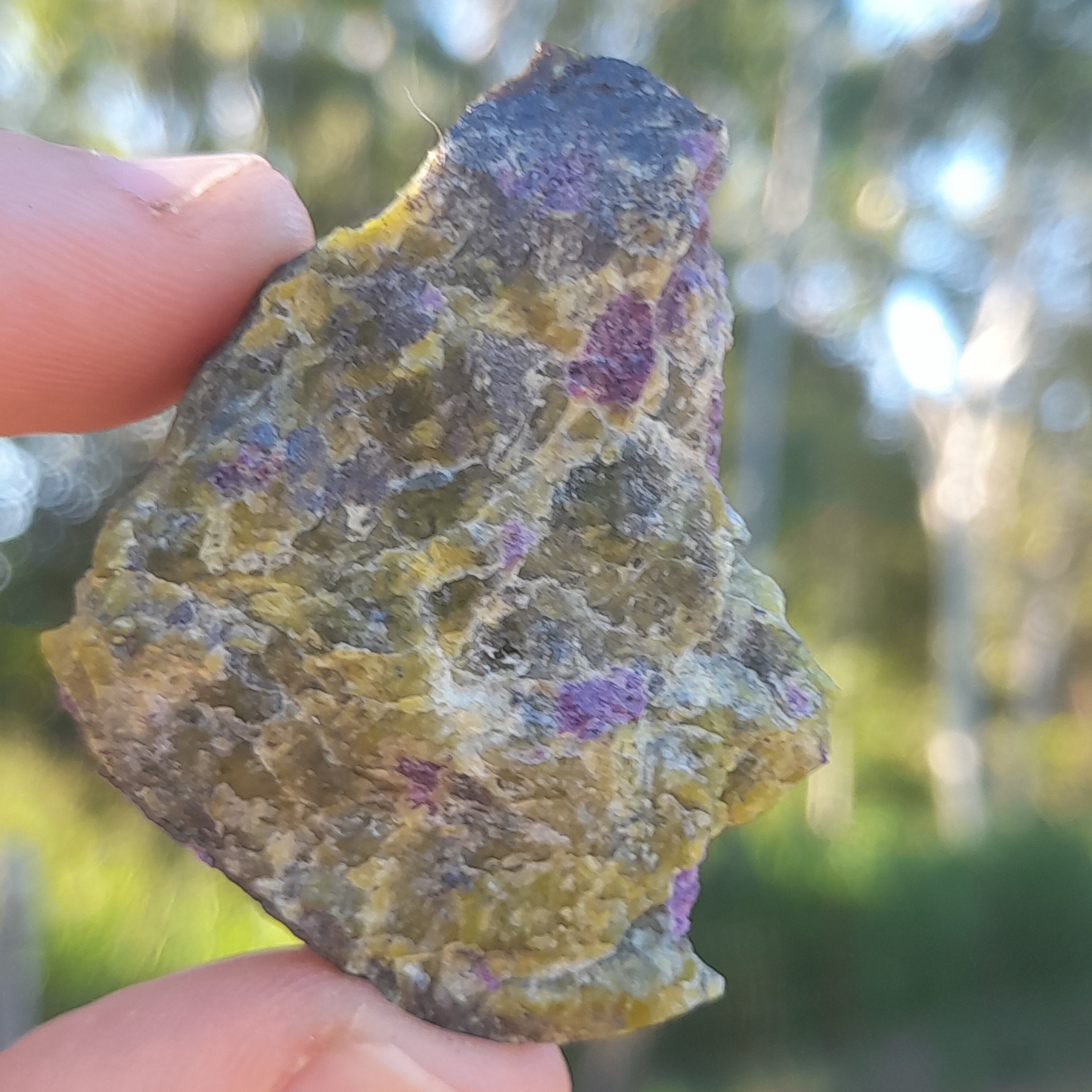 Stichtite in Serpentine (Atlantasite)