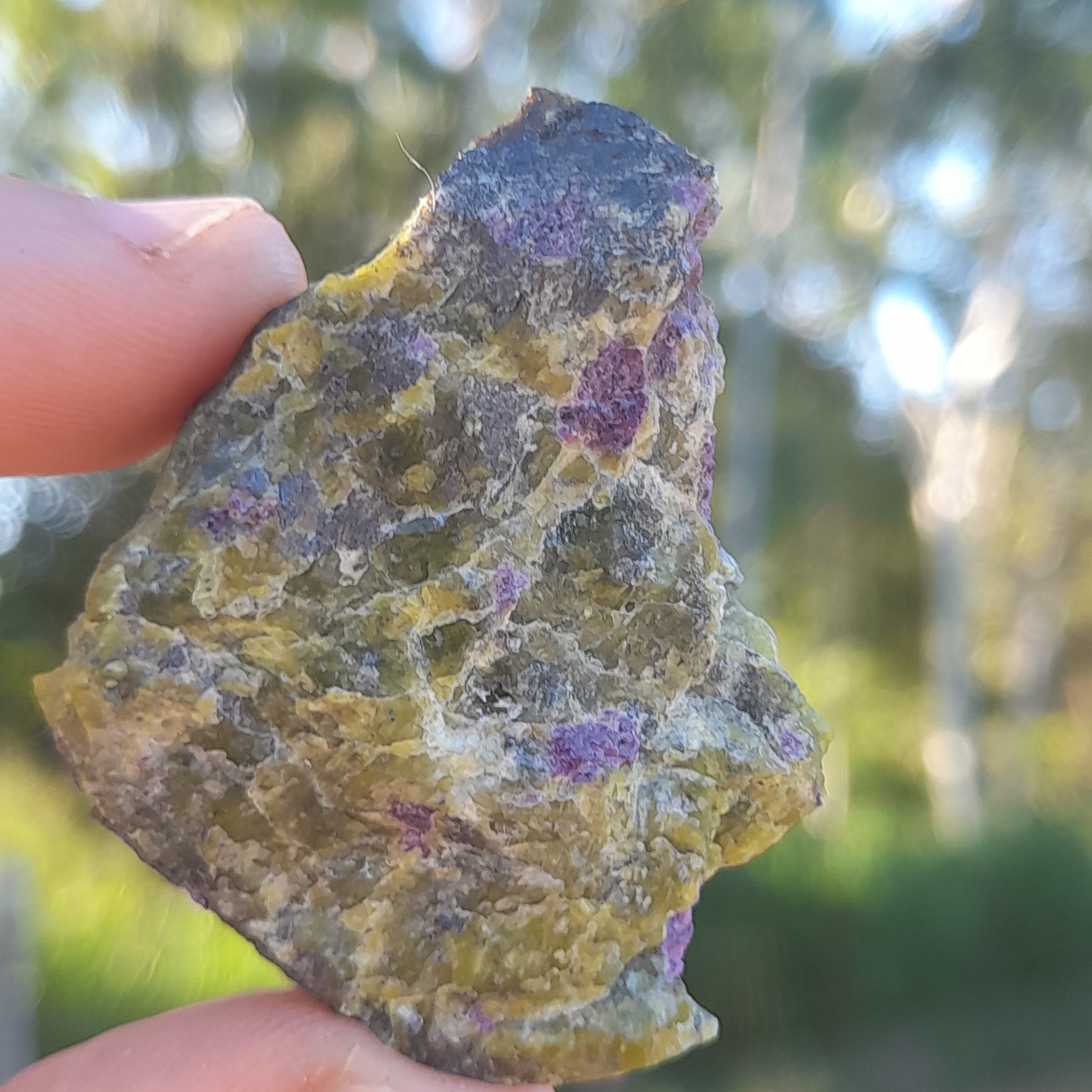 Stichtite in Serpentine (Atlantasite)