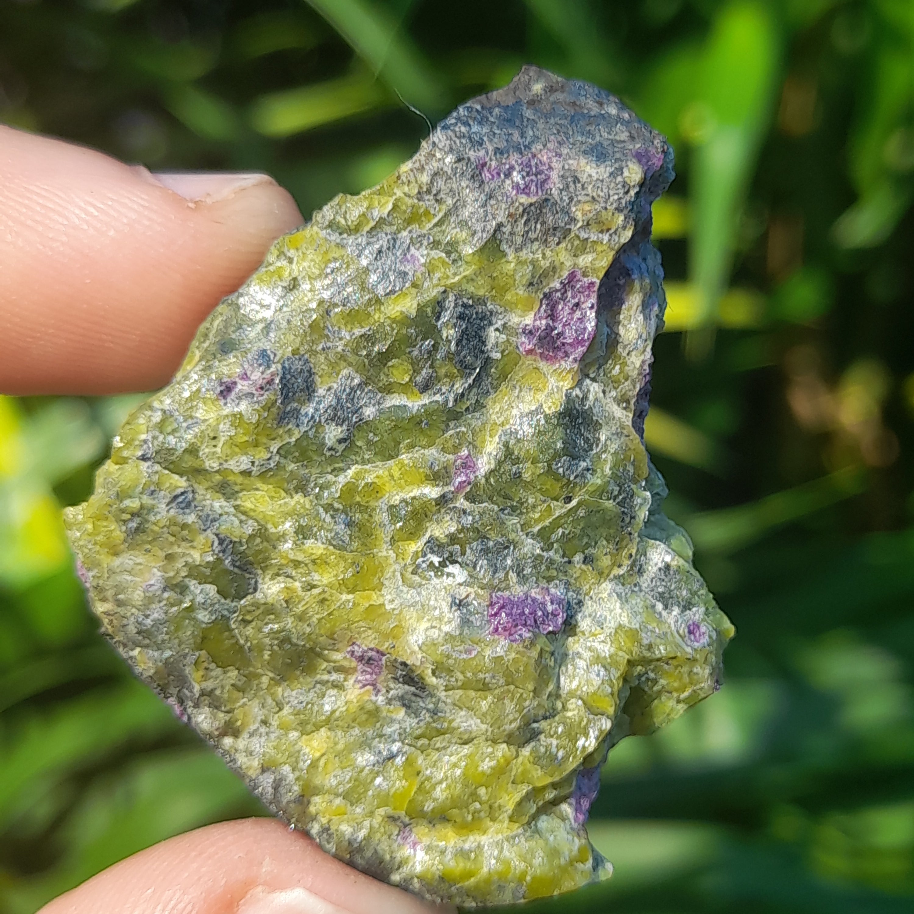 Stichtite in Serpentine (Atlantasite)
