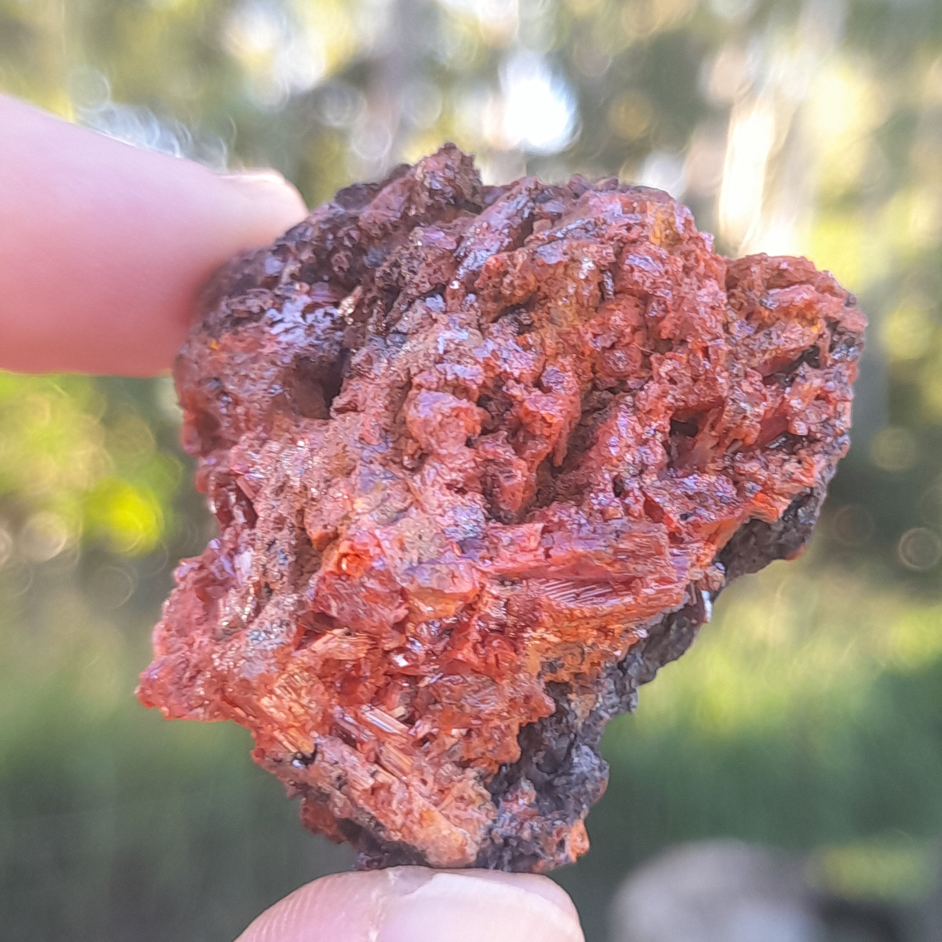 Crocoite