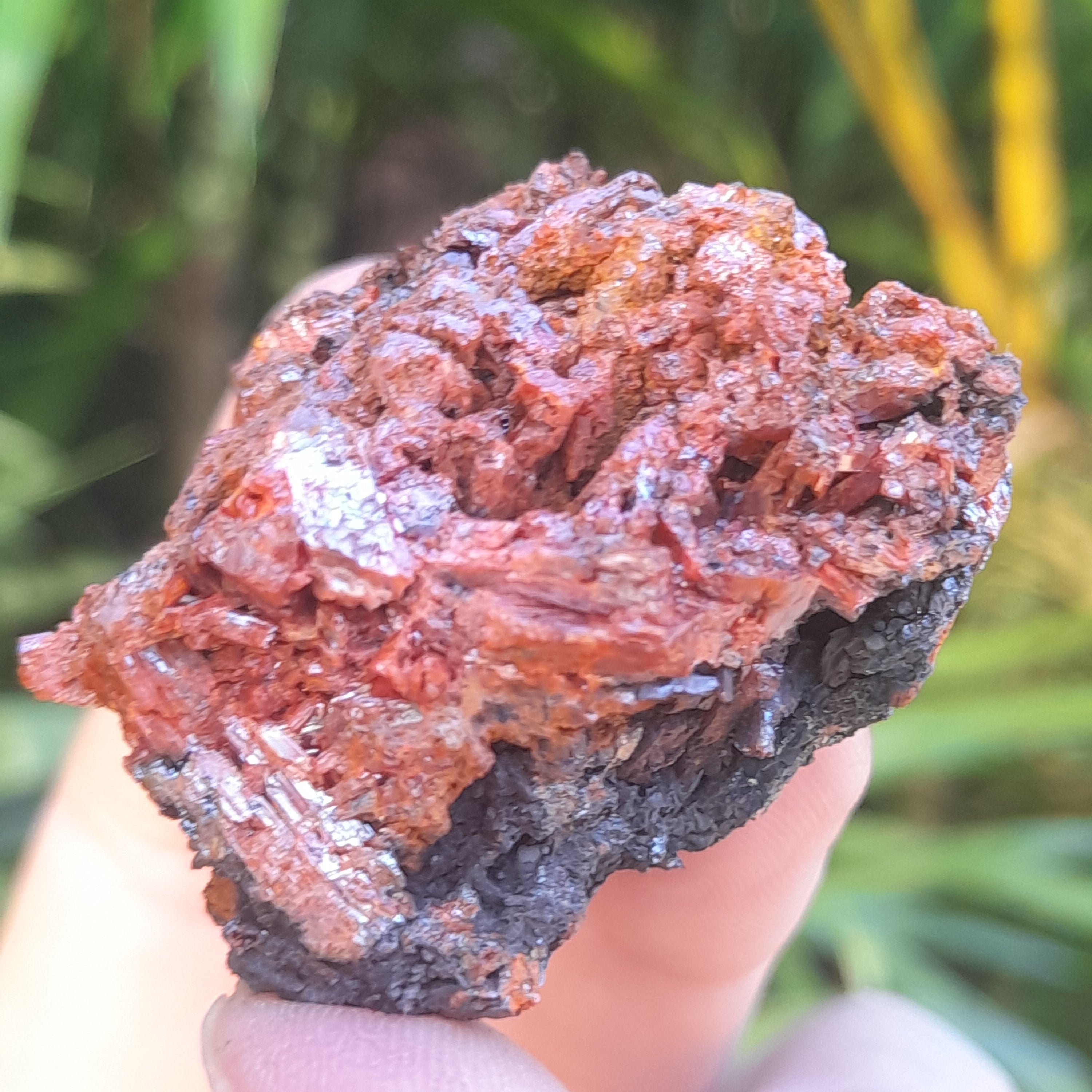 Crocoite