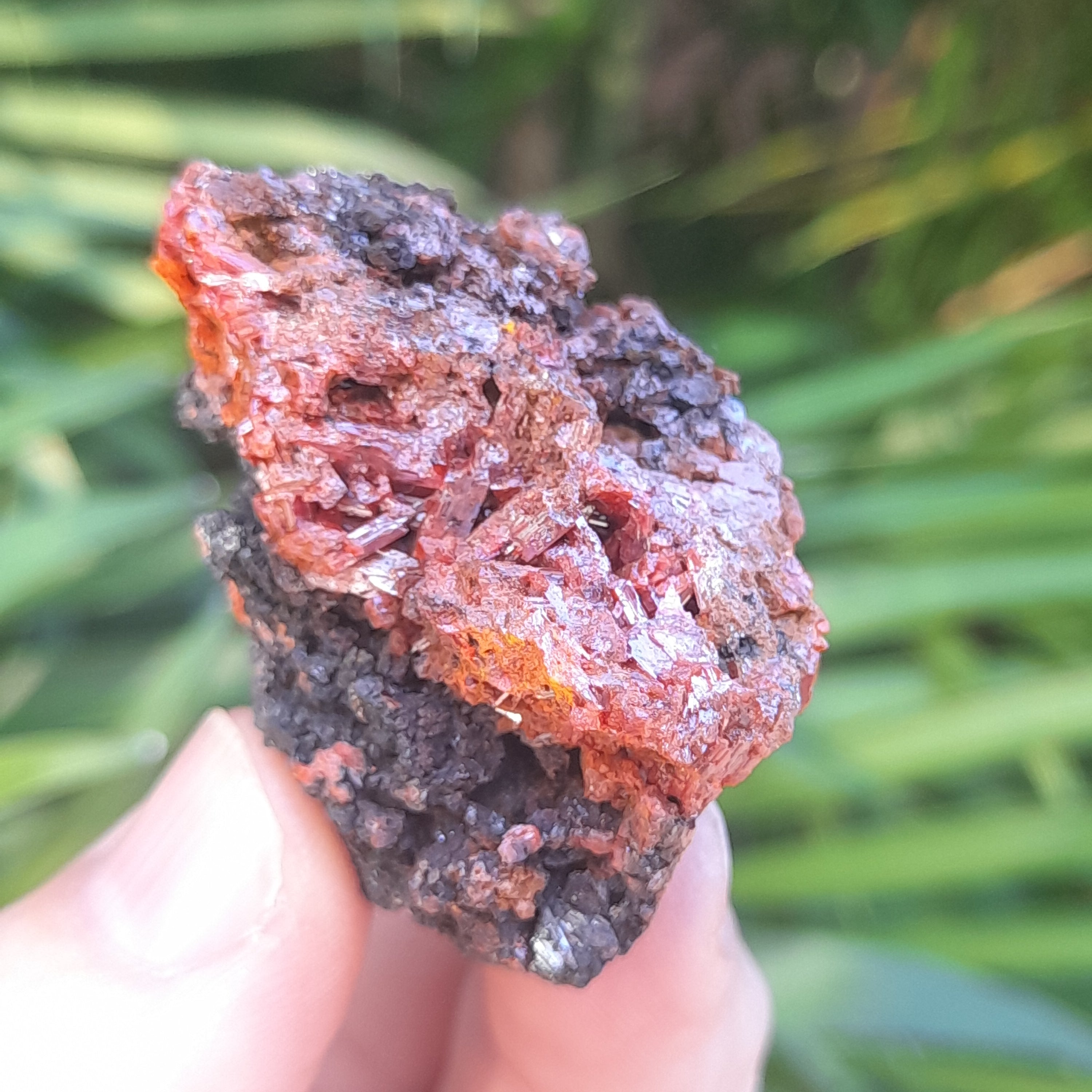 Crocoite