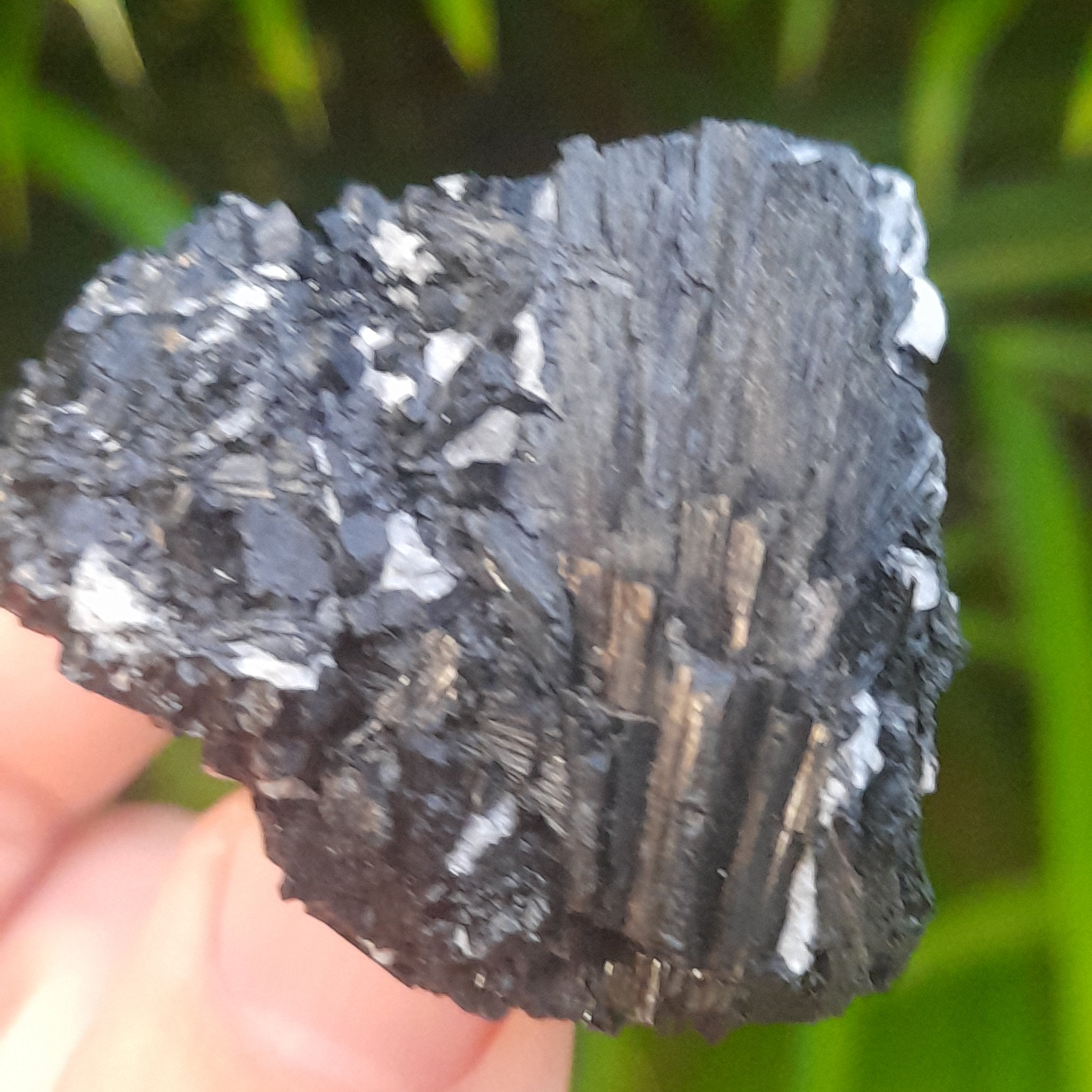 Black Tourmaline, Australia