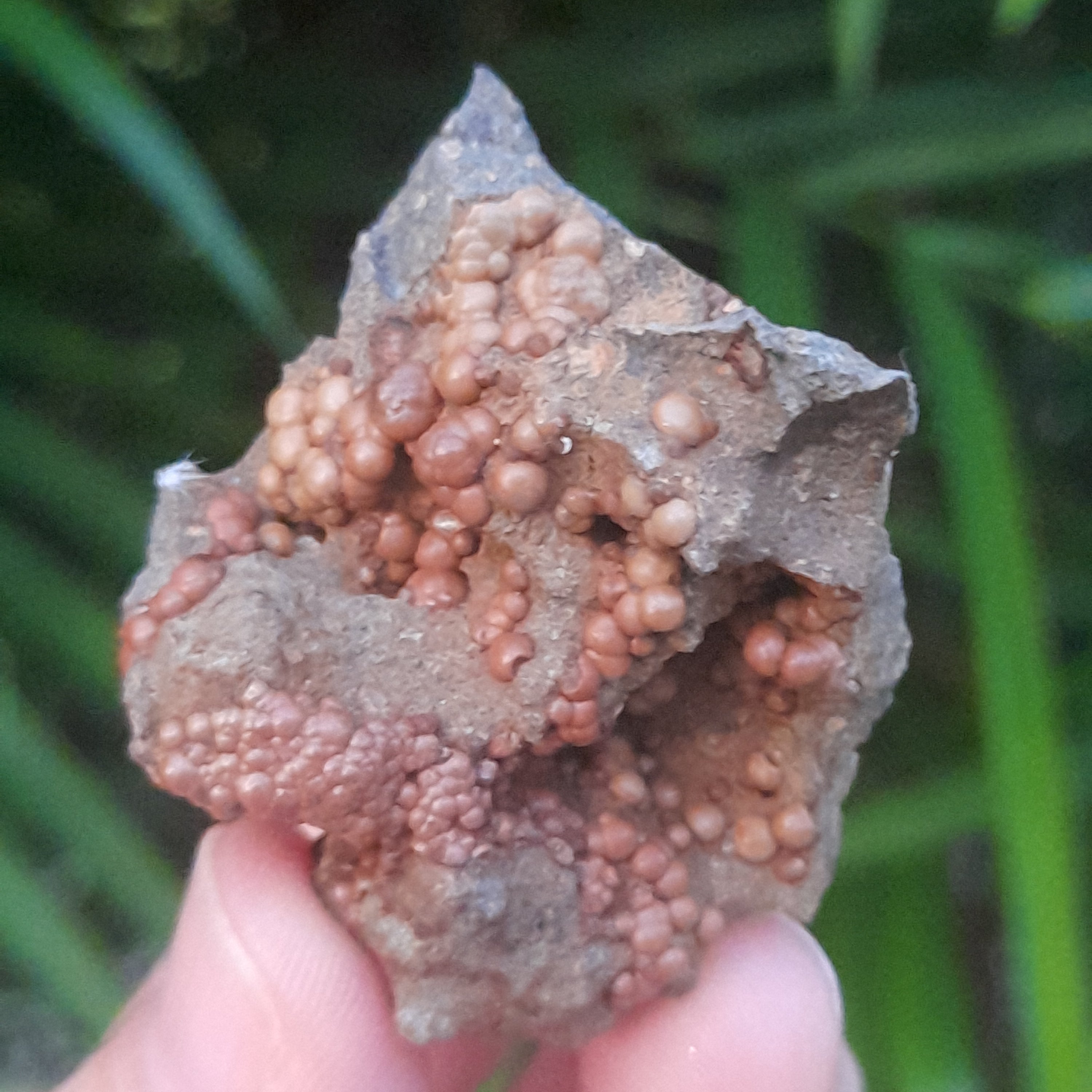 Siderite