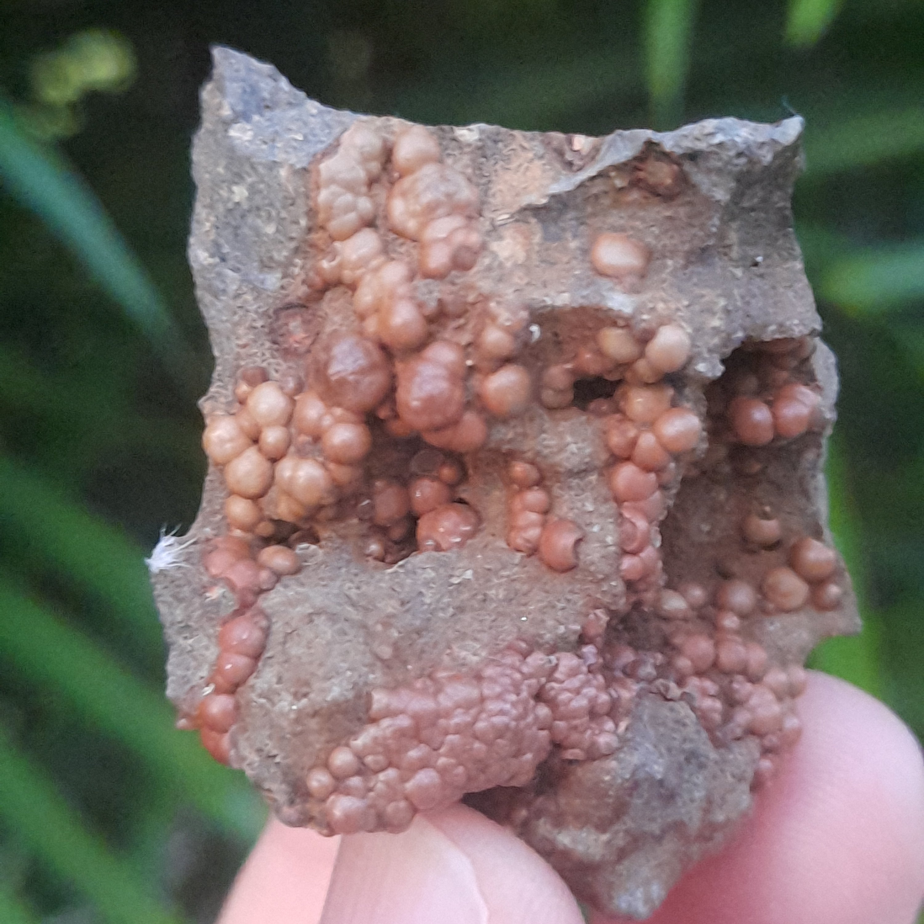 Siderite